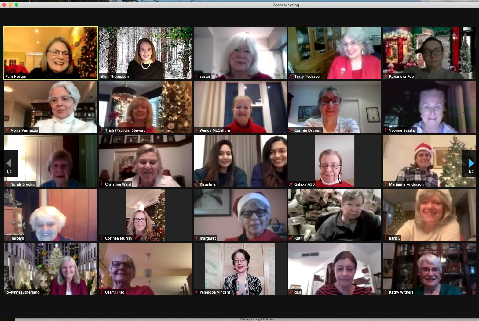 2020-12-14 Zoom party guests 1.png