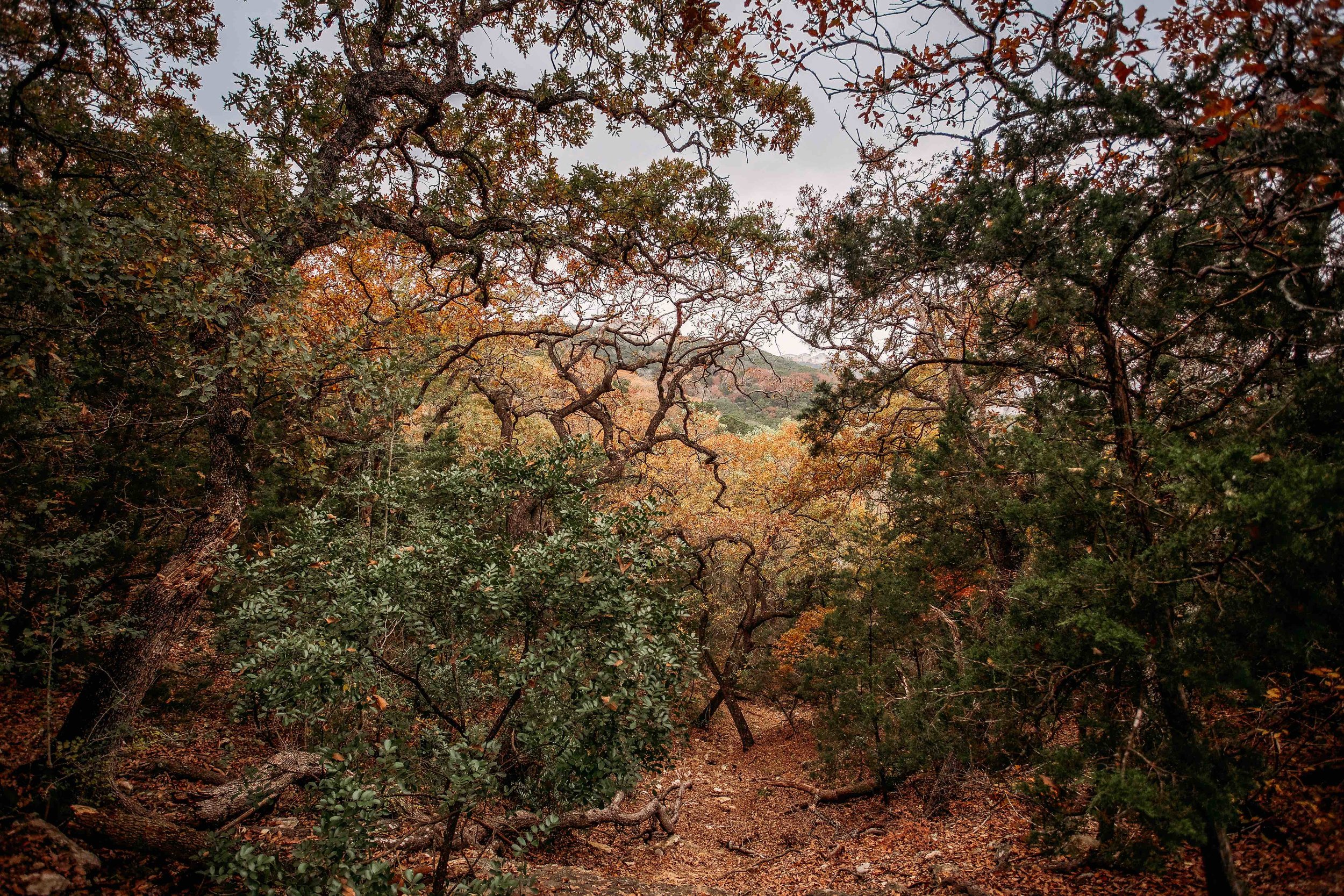 hike00007.jpeg