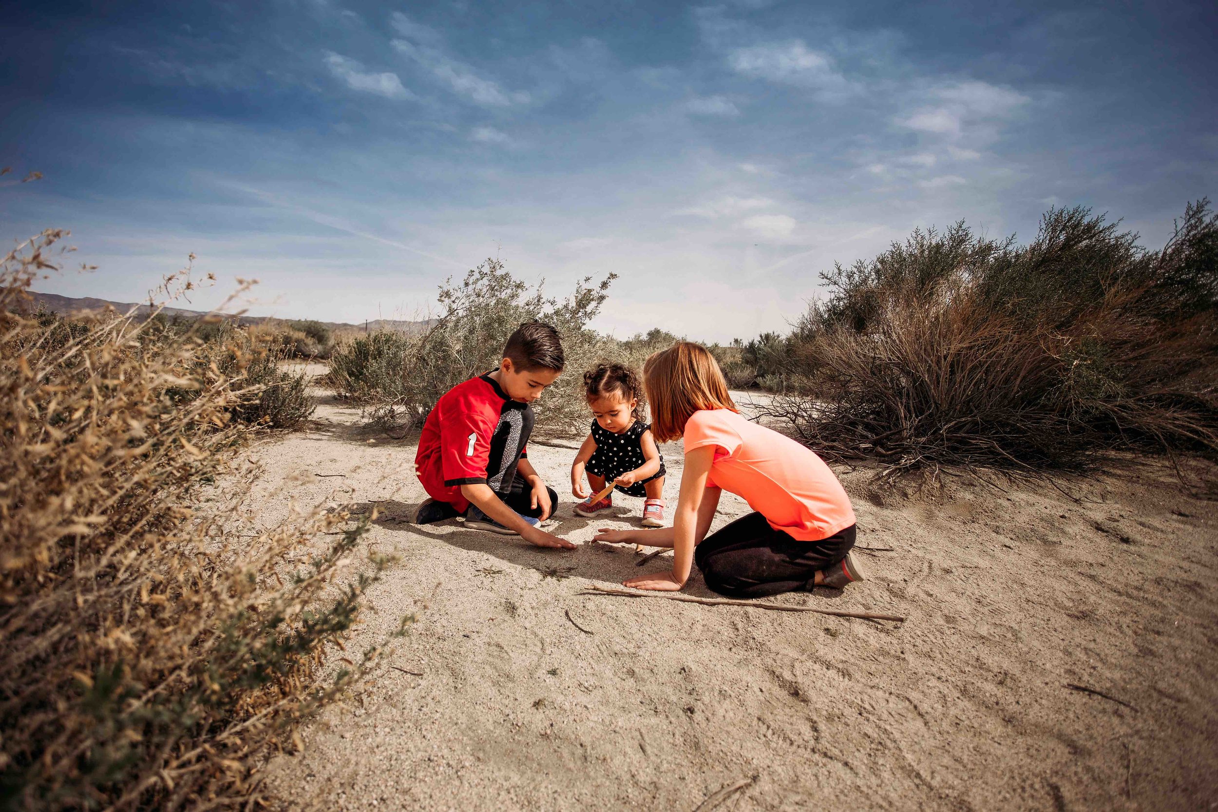 Coachella Valley Preserve00002.jpeg