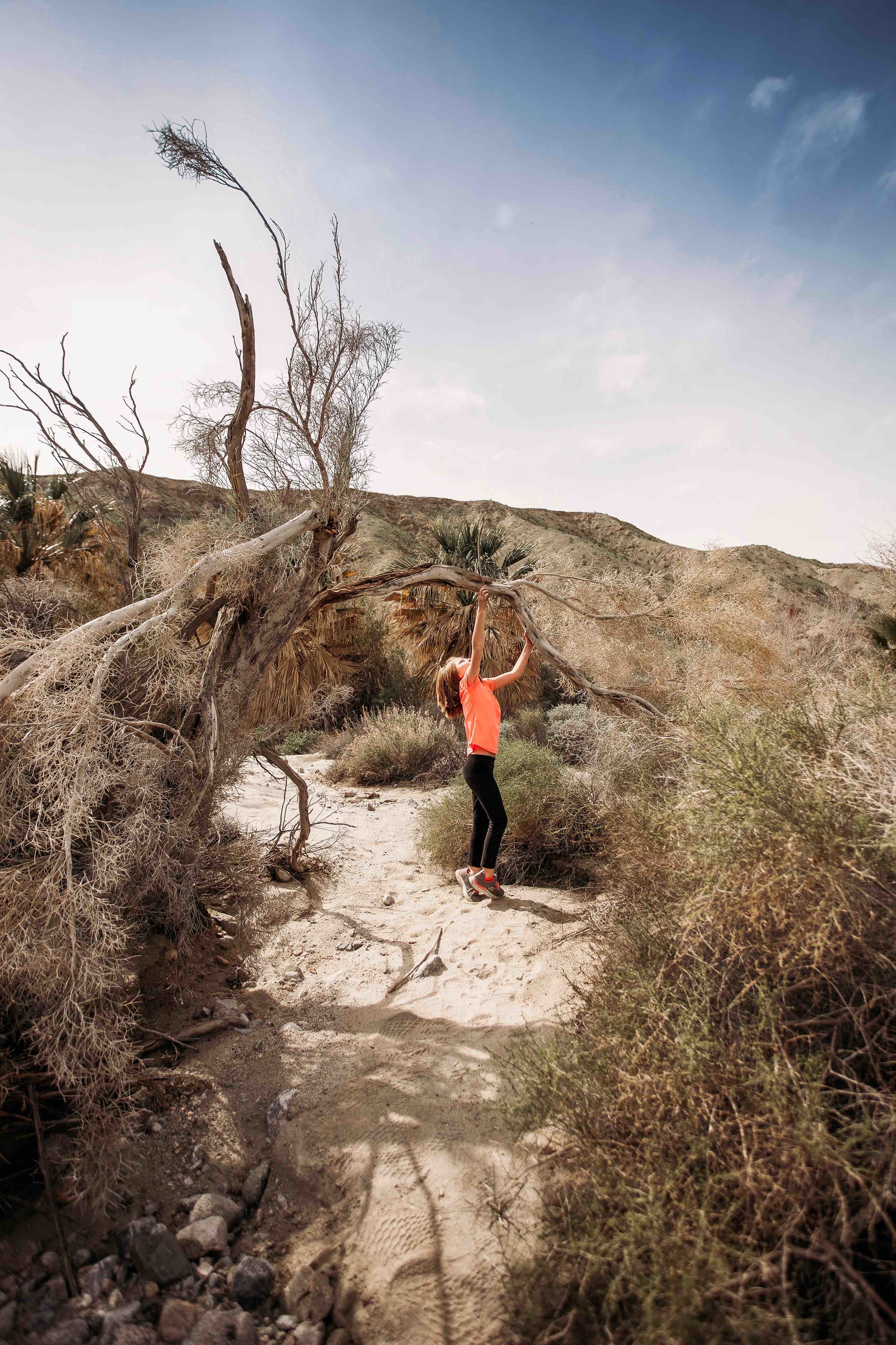 Coachella Valley Preserve00003.jpeg