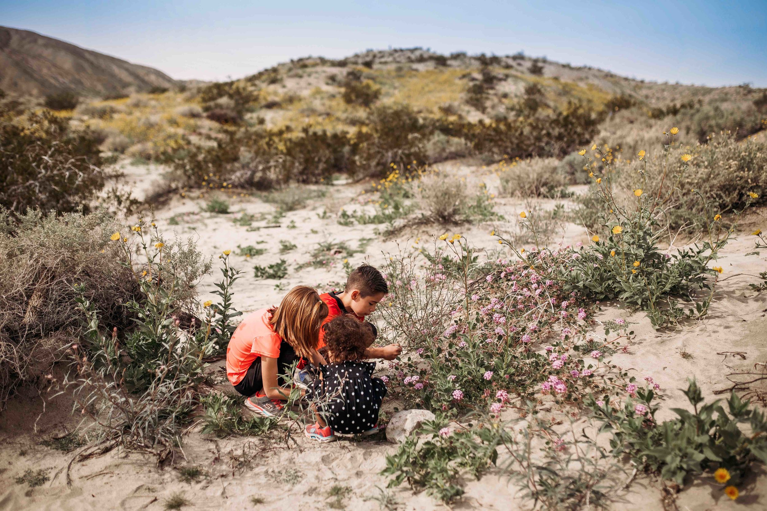 Coachella Valley Preserve00019.jpeg