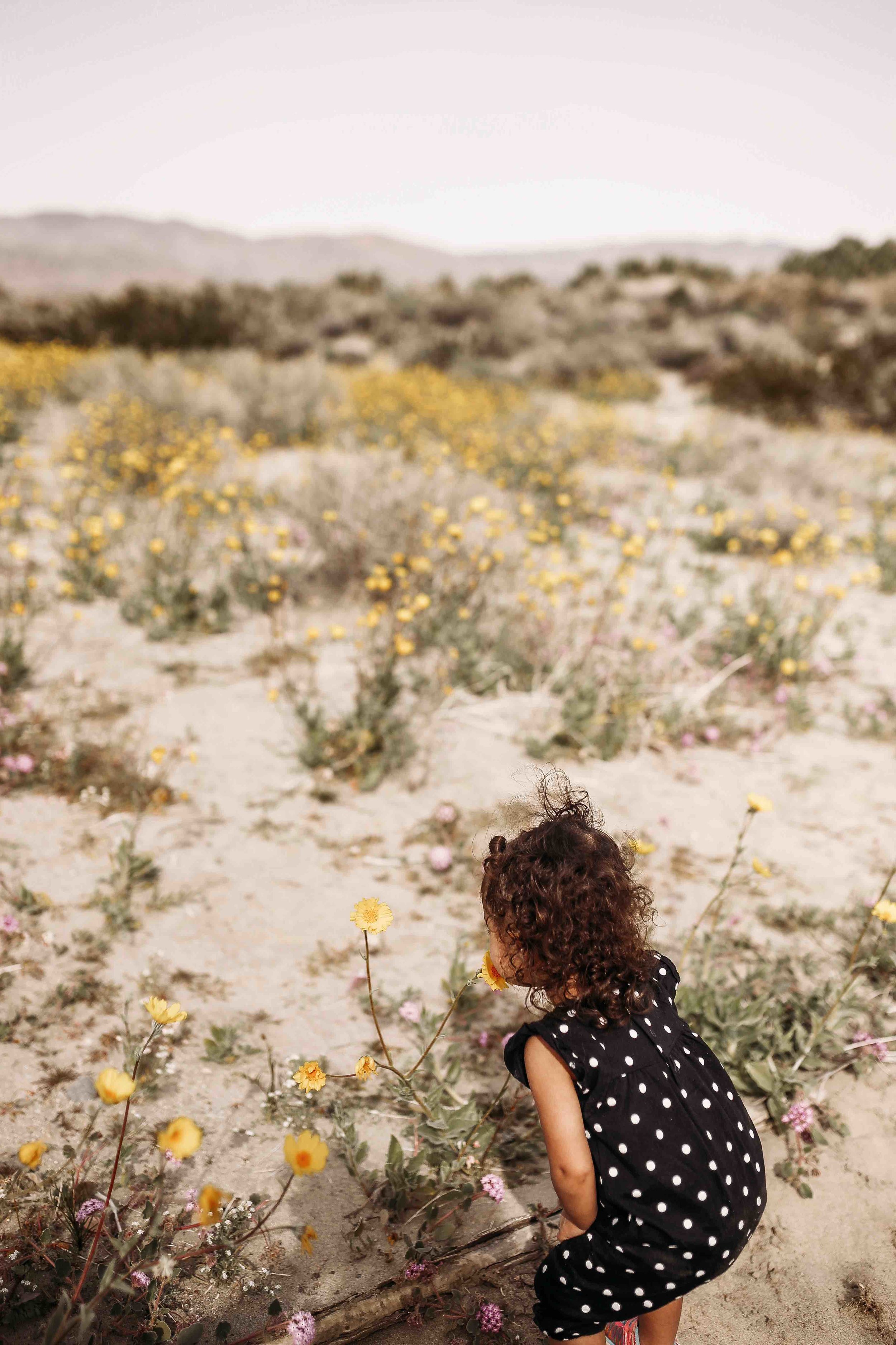 Coachella Valley Preserve00020.jpeg