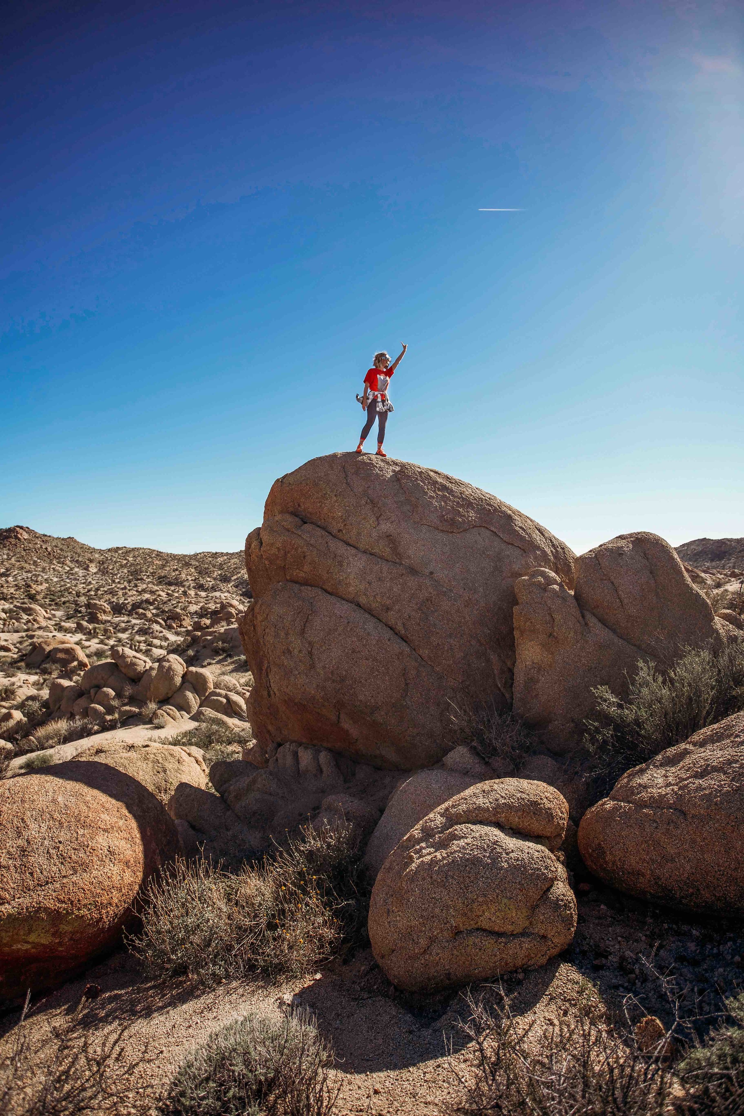 JoshuaTree00001.jpeg