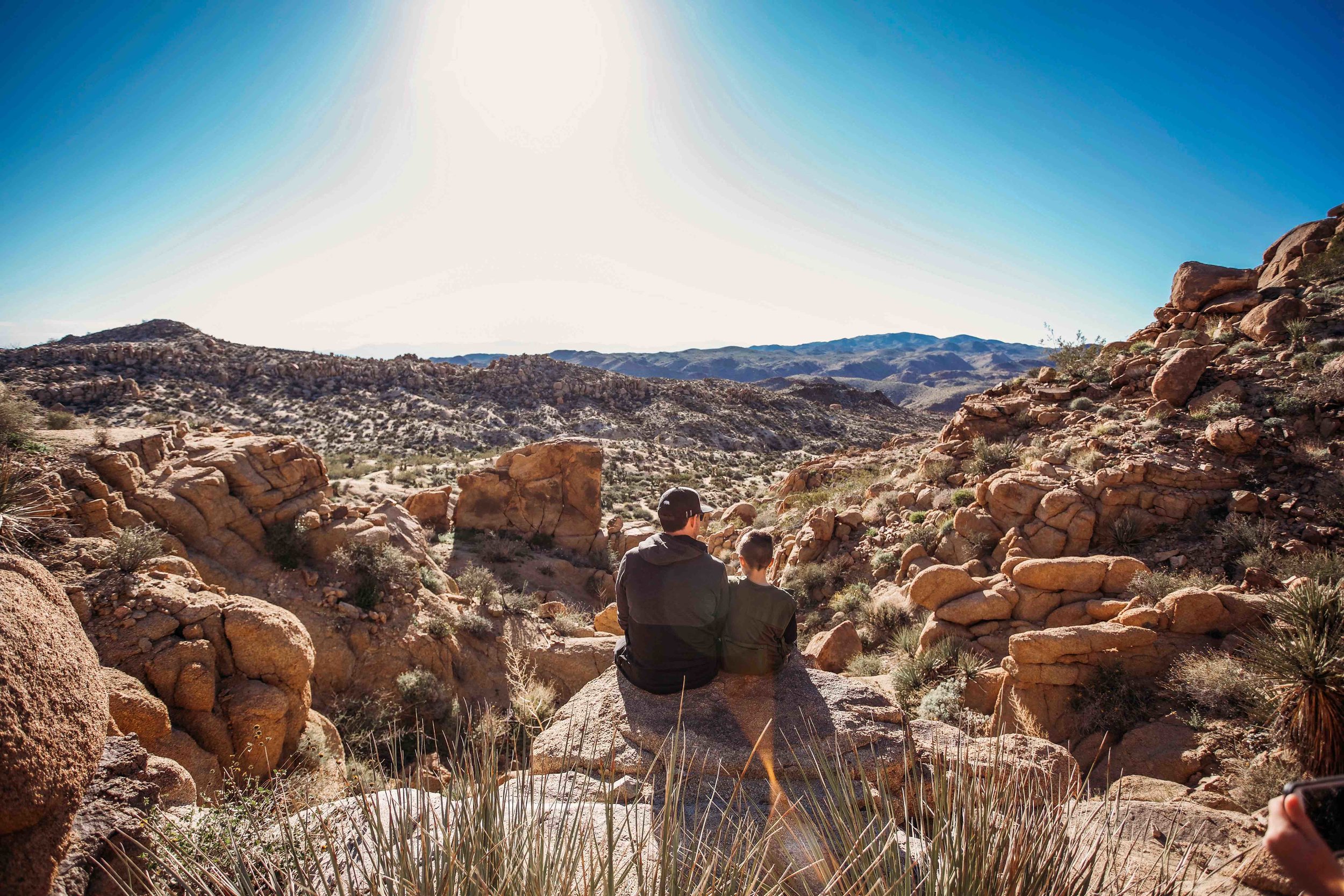 JoshuaTree00004.jpeg