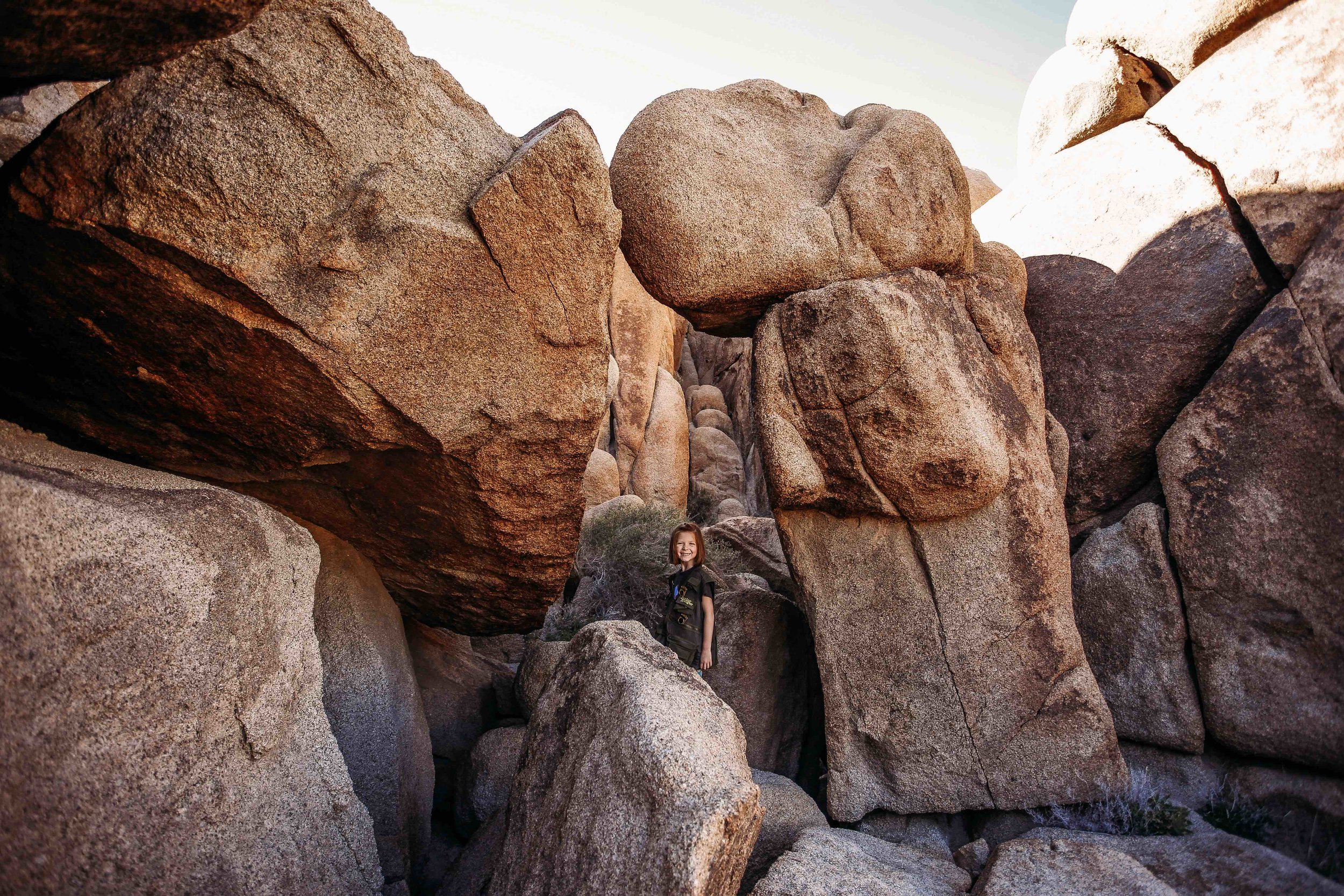 JoshuaTree00008.jpeg