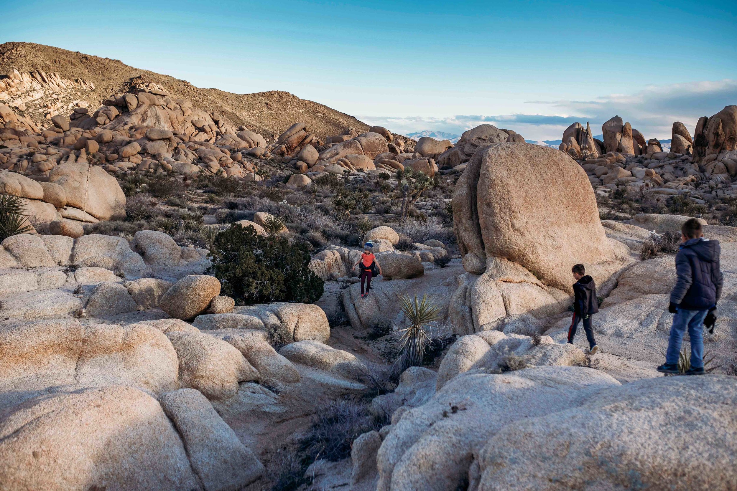 JoshuaTree00010.jpeg