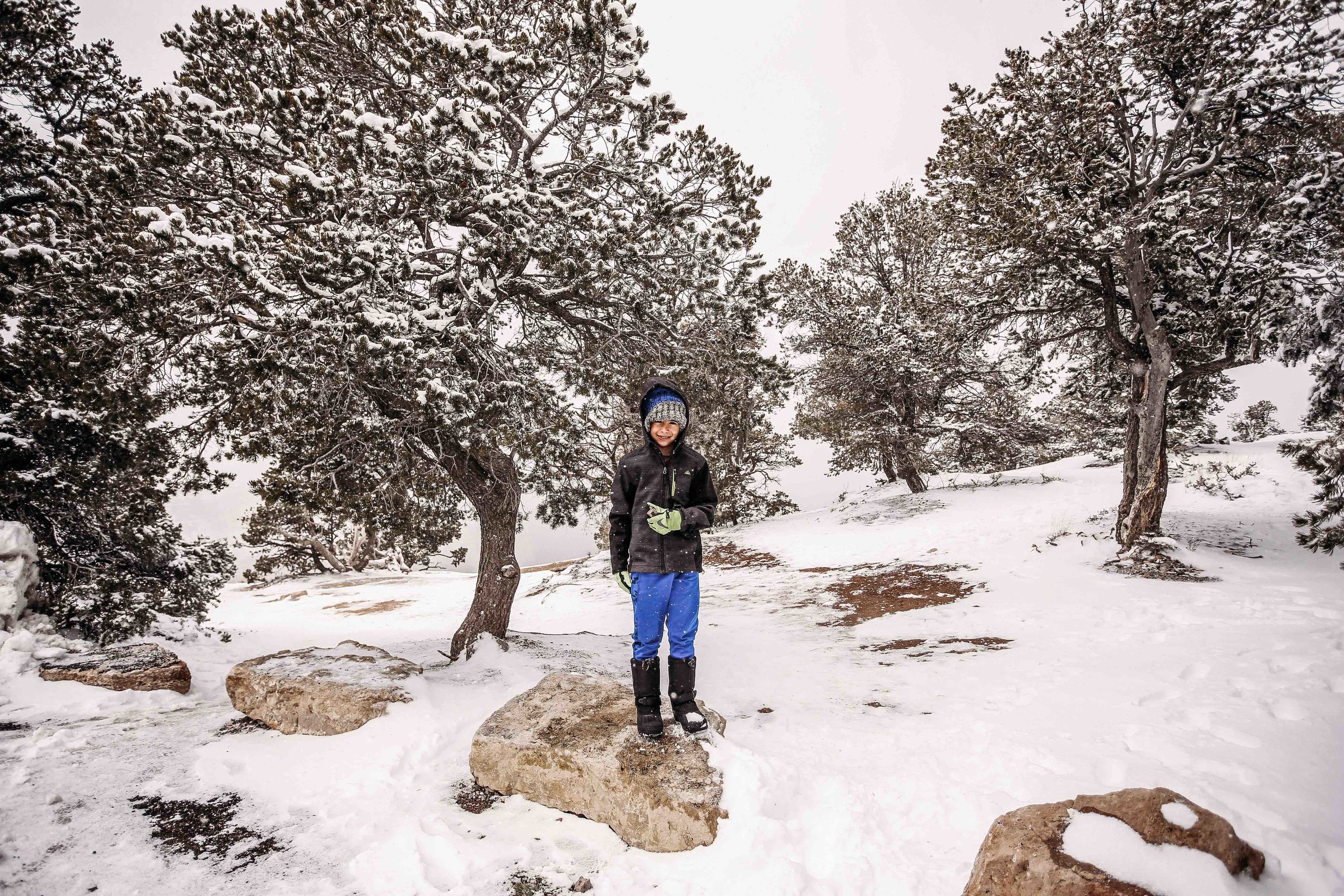 Grand Canyon Snow1.jpeg