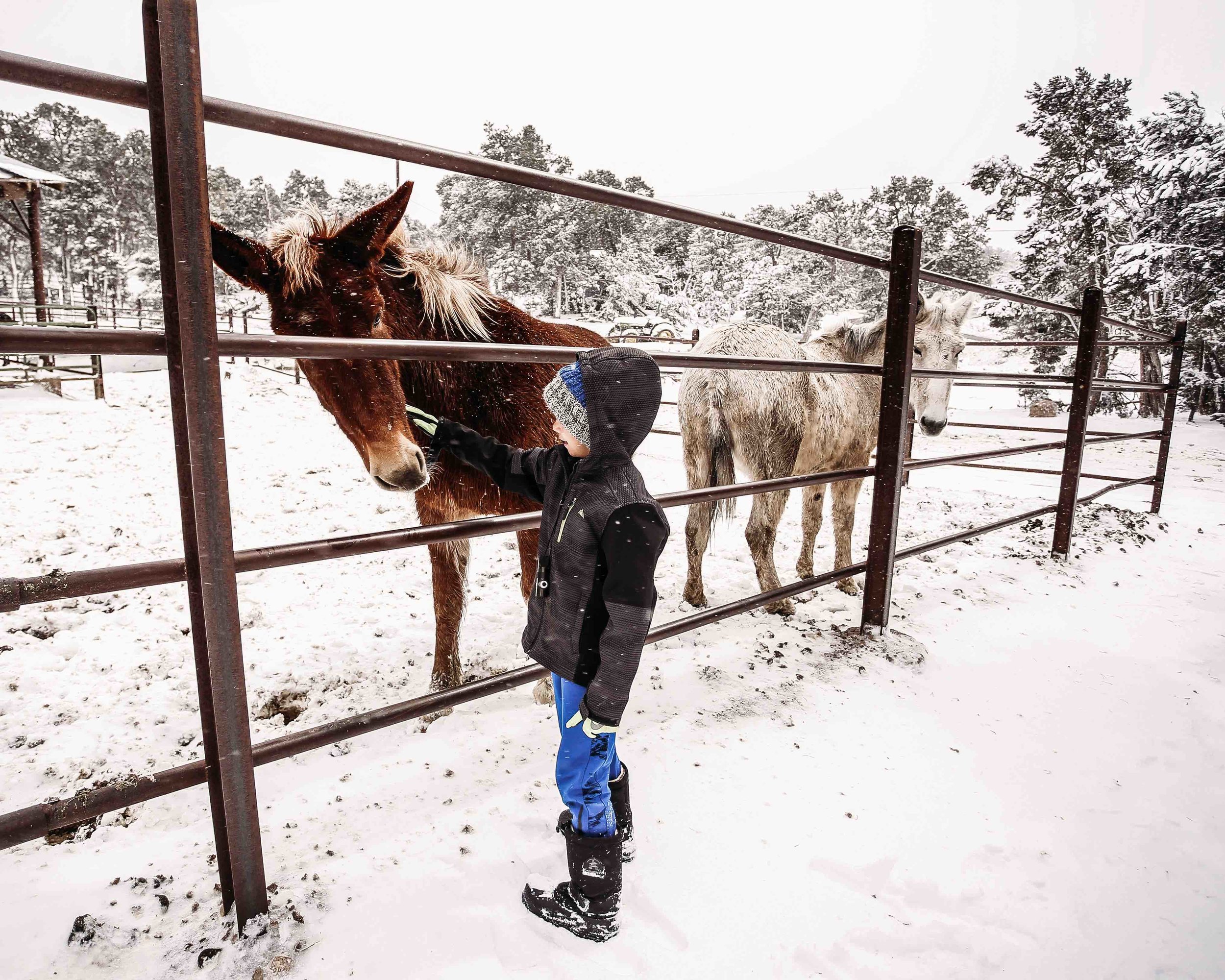 Grand Canyon Snow4.jpeg