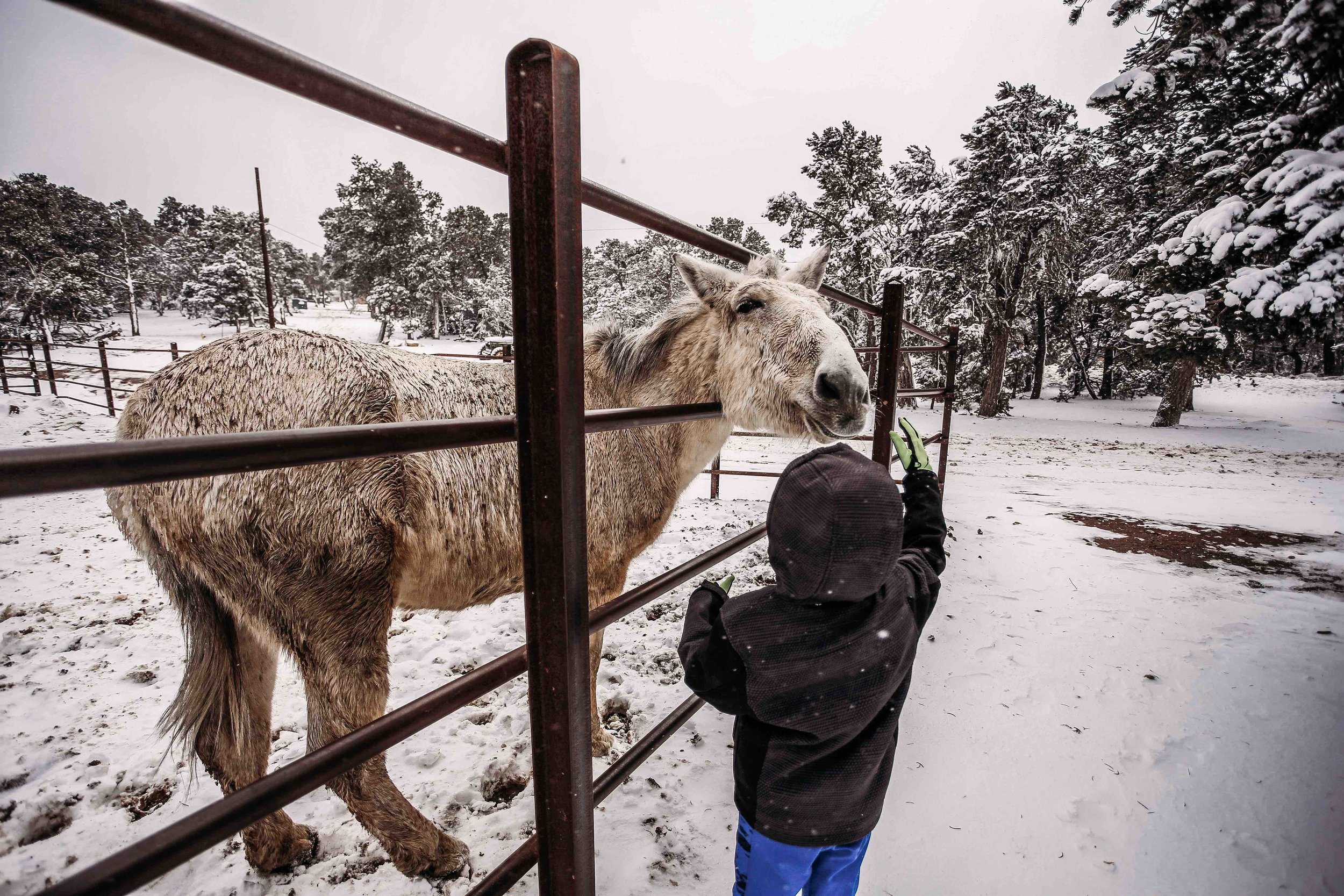 Grand Canyon Snow5.jpeg