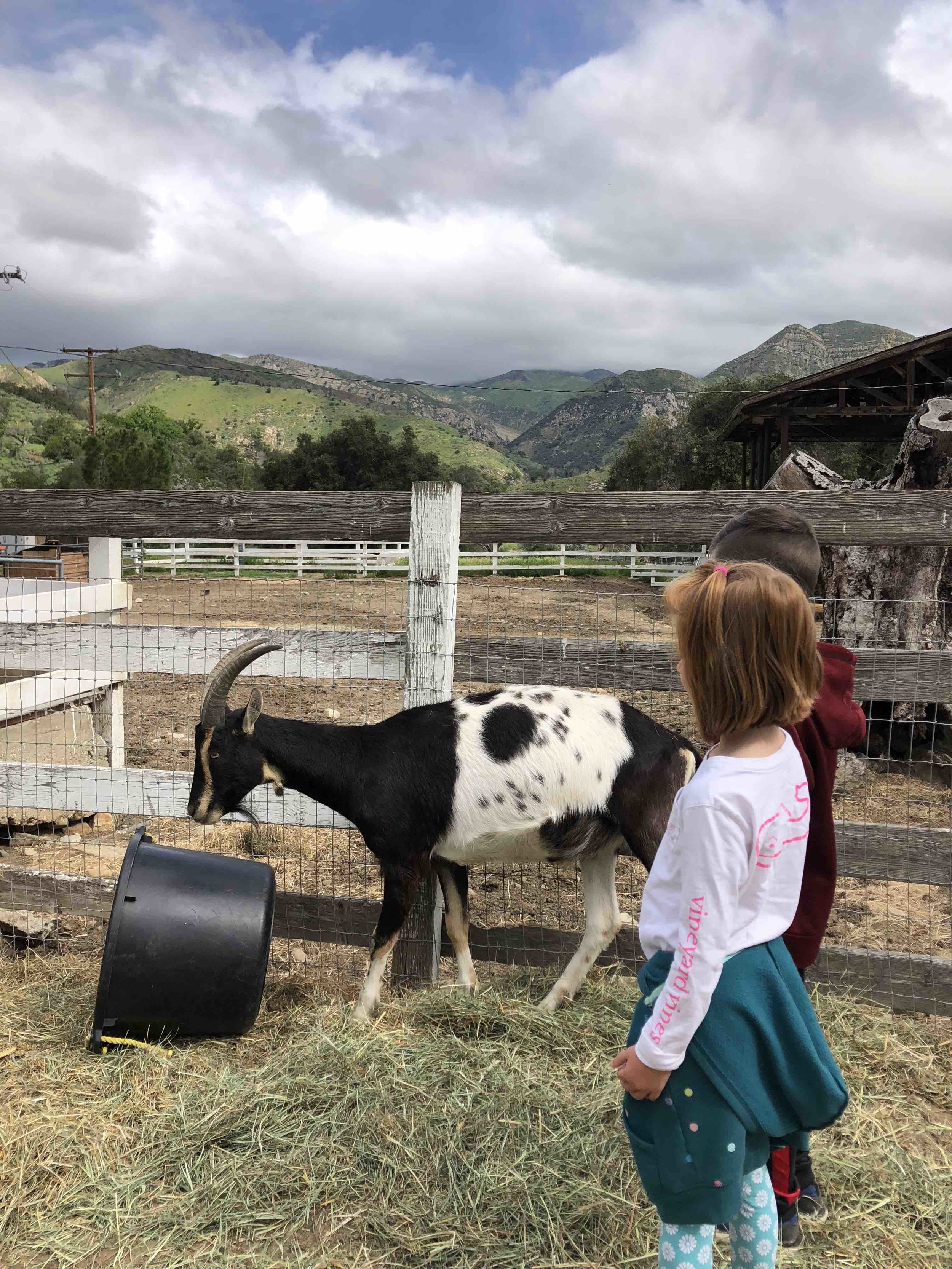 Rancho Oso RV Park18.jpeg