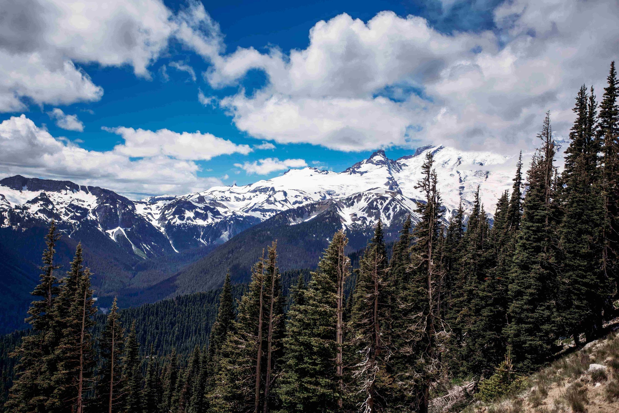 Mount Rainier with kids2-min.jpeg