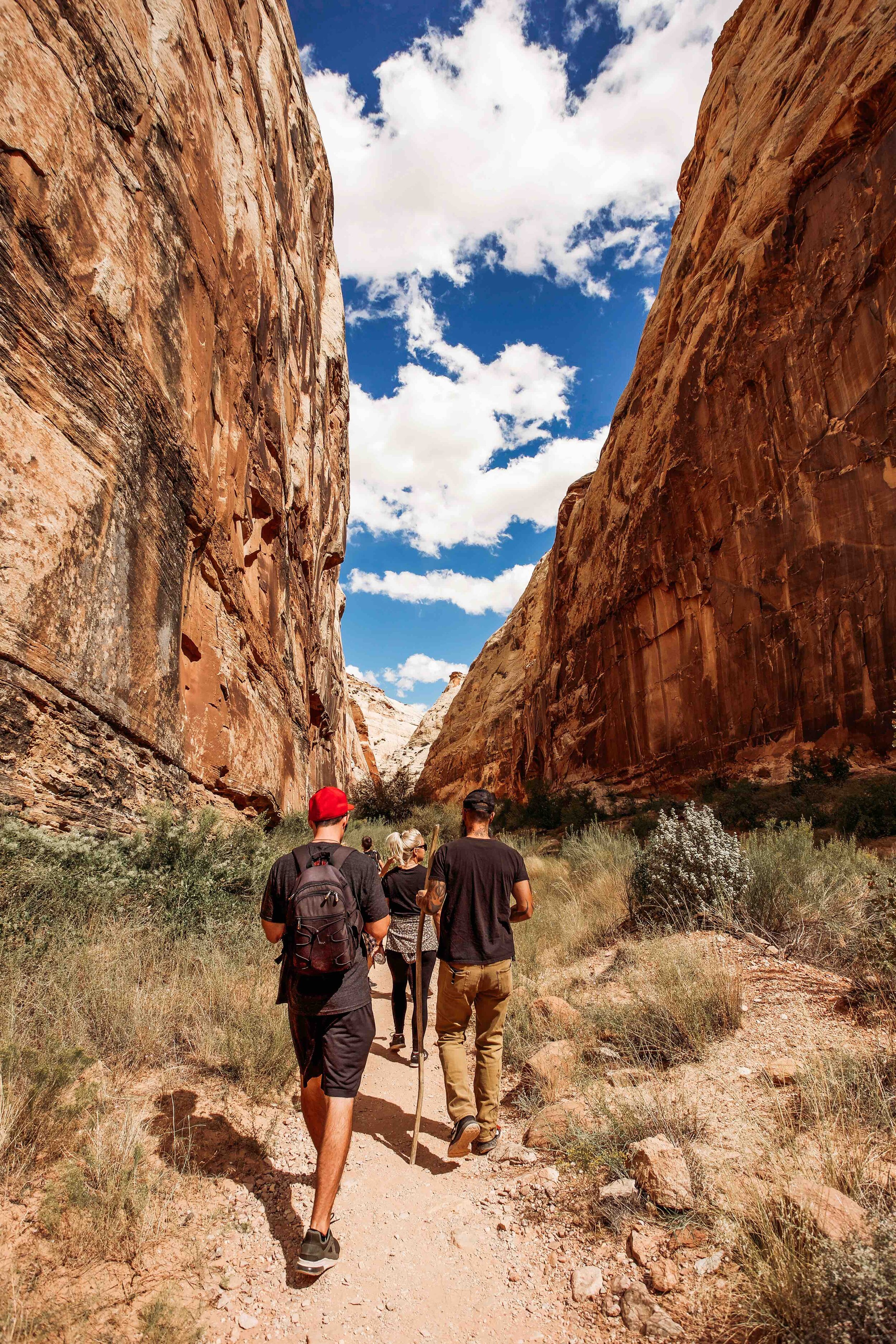 Capital Reef National Park00003.jpeg