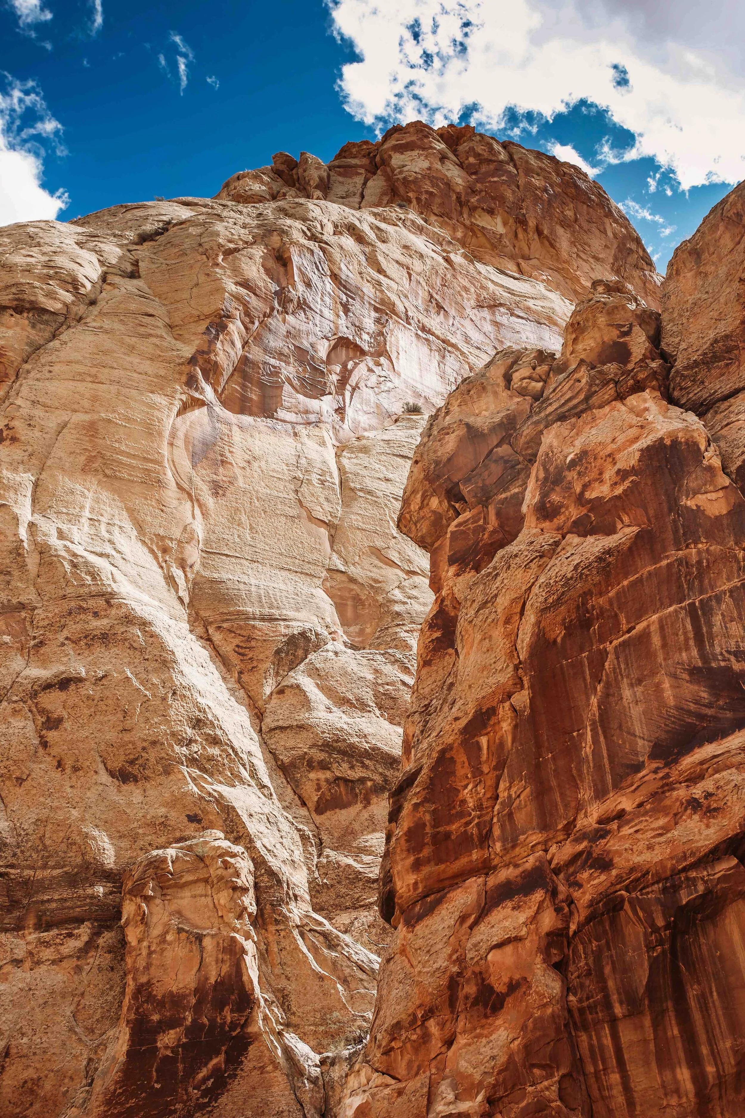 Your Guide To Visiting The 5 Utah National Parks. — The Wanderpreneurs ...