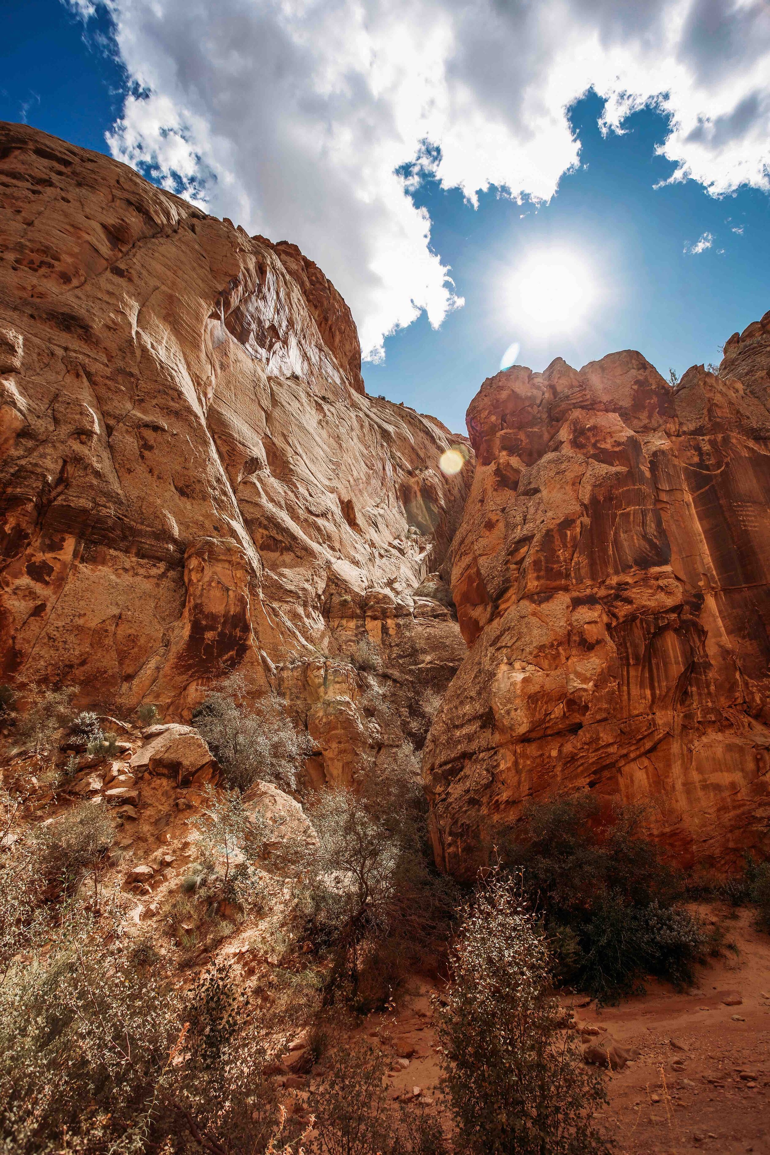 Capital Reef National Park00006.jpeg