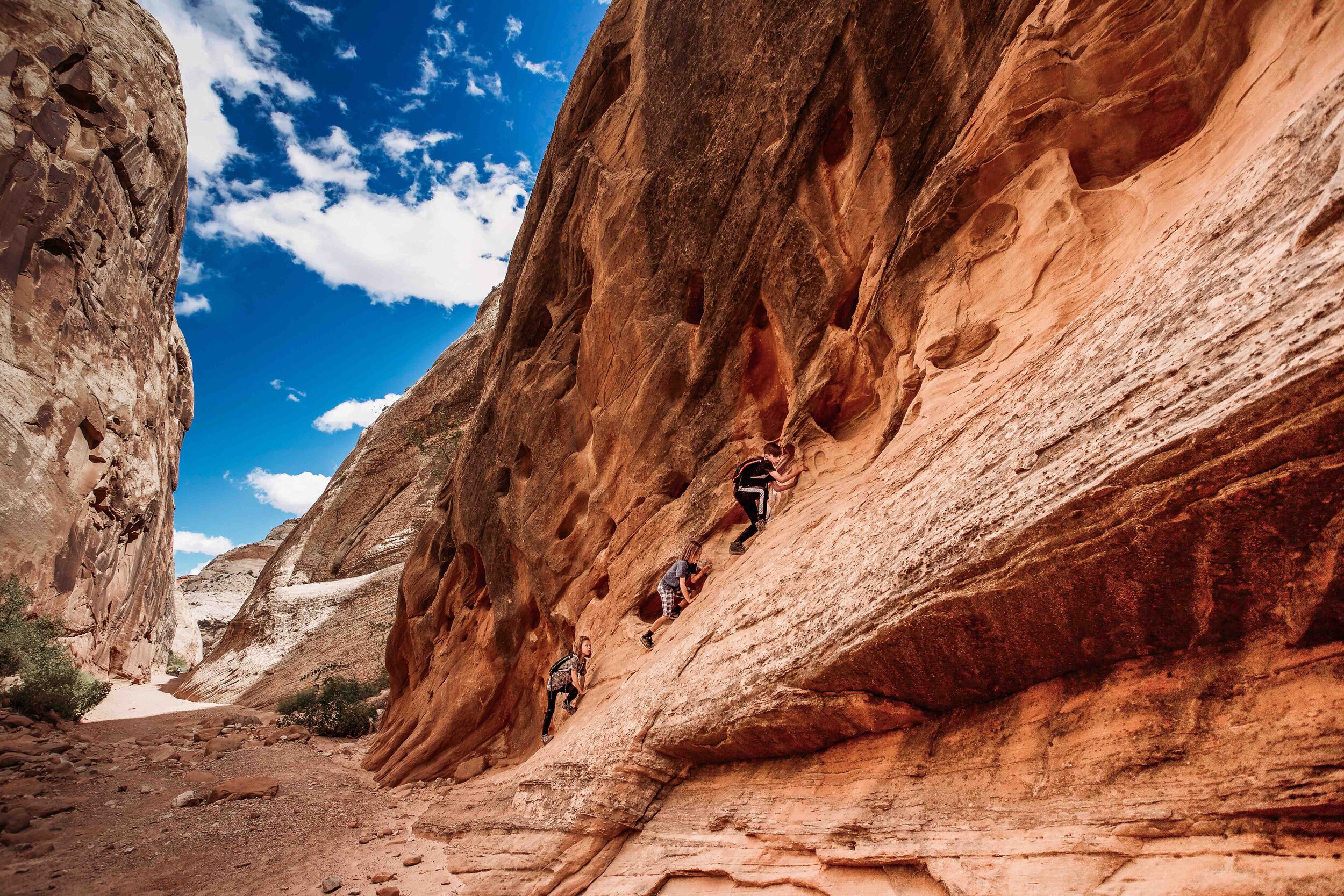 Capital Reef National Park00016.jpeg