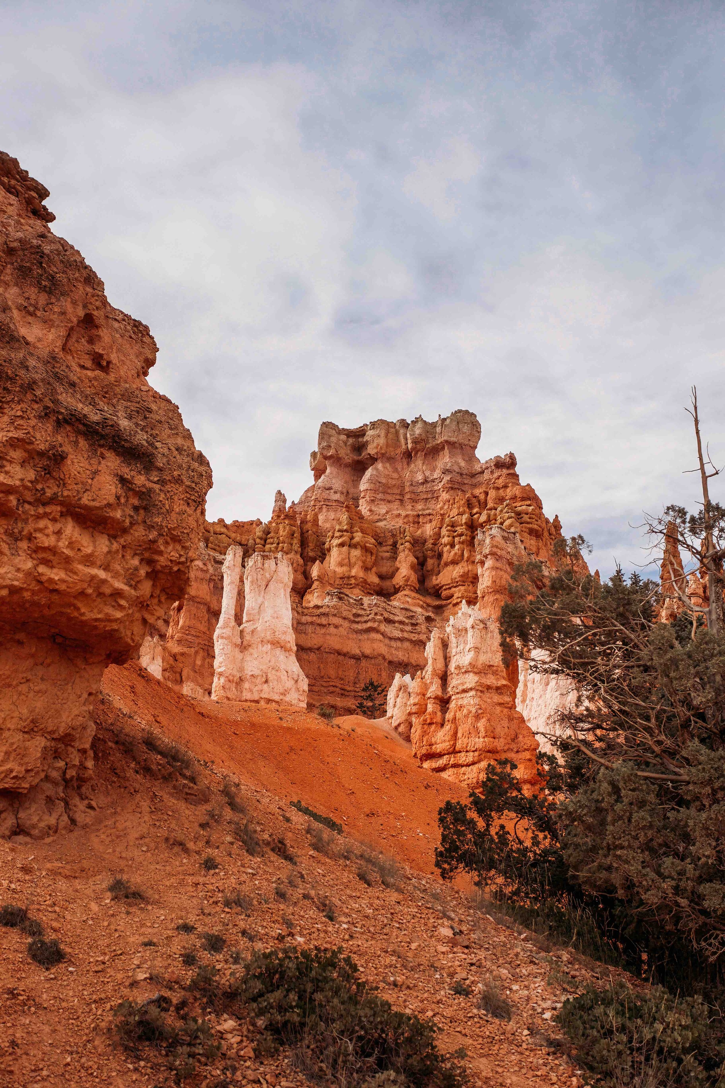 Bryce Canyon National Park00005.jpeg