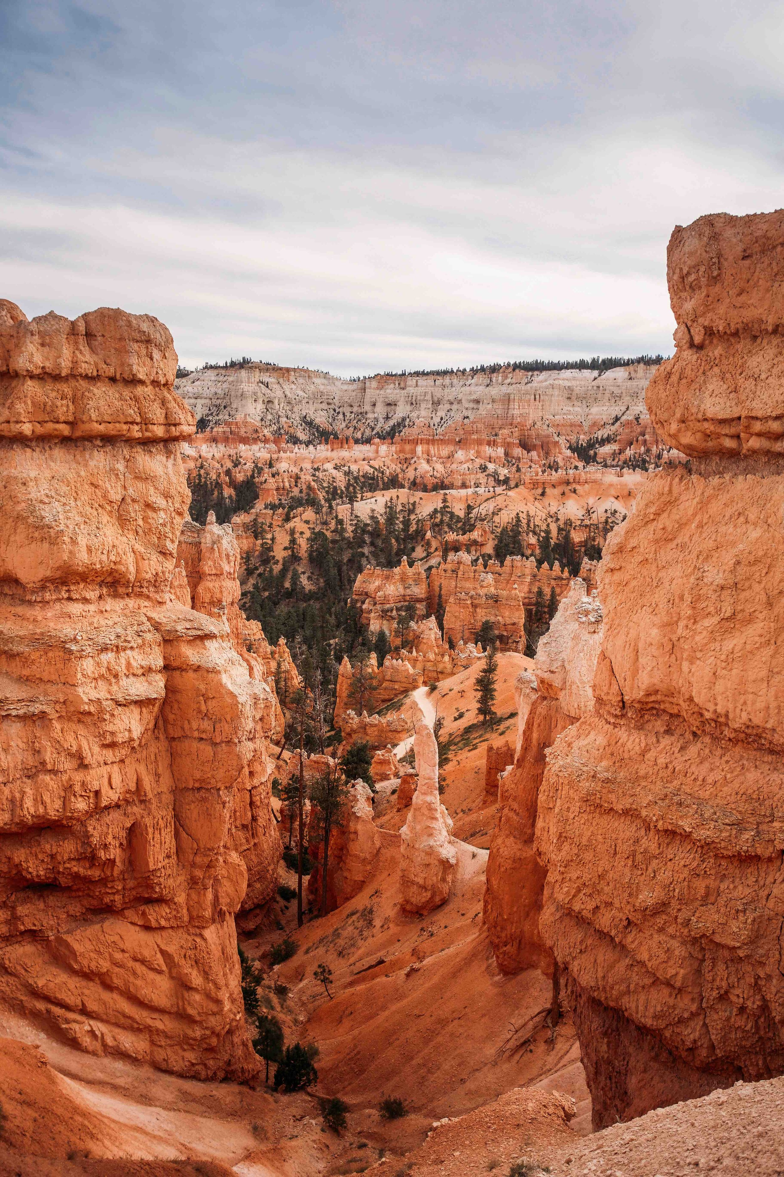 Bryce Canyon National Park00010.jpeg