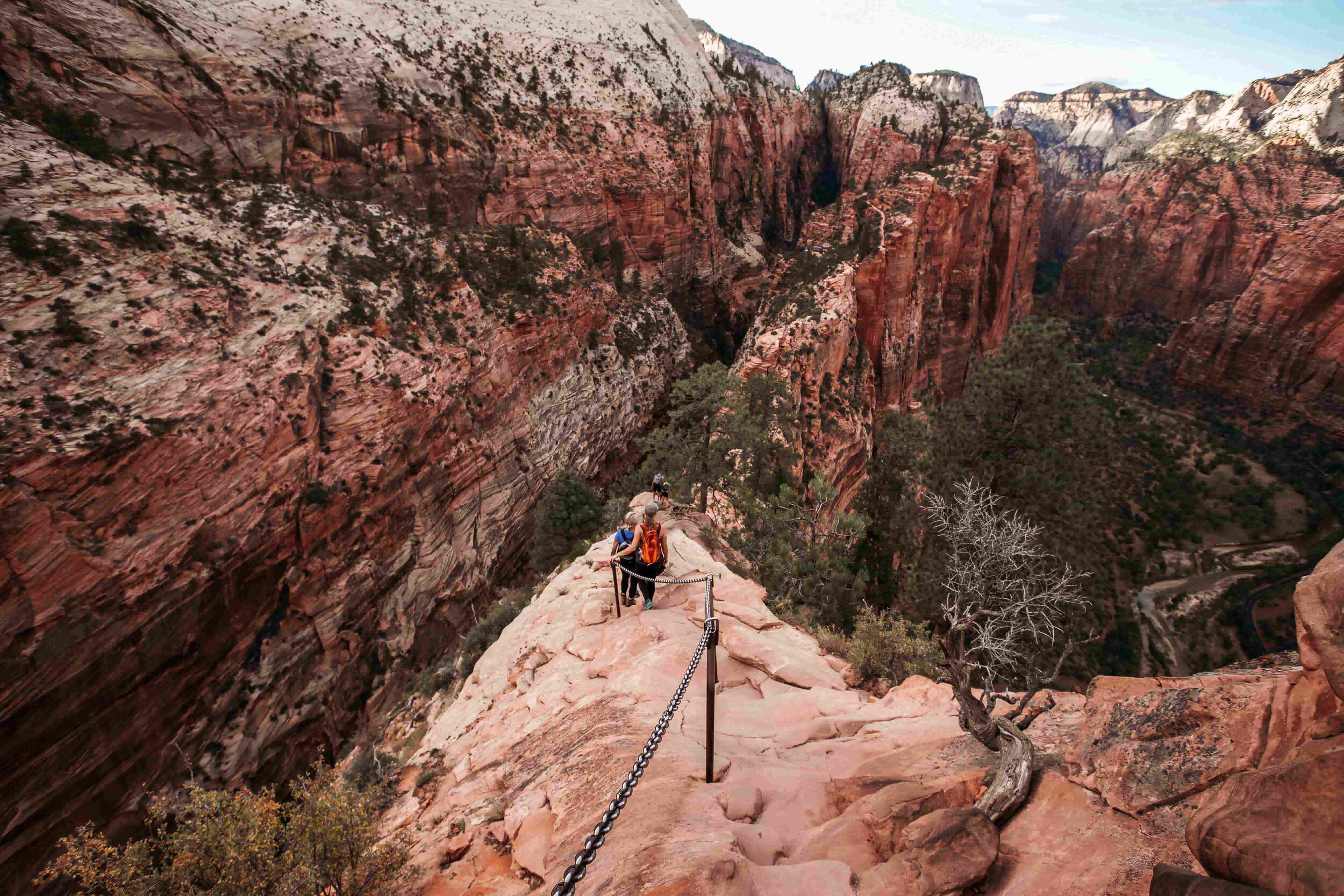 Angels Landing, Zion UT00008-min.jpeg