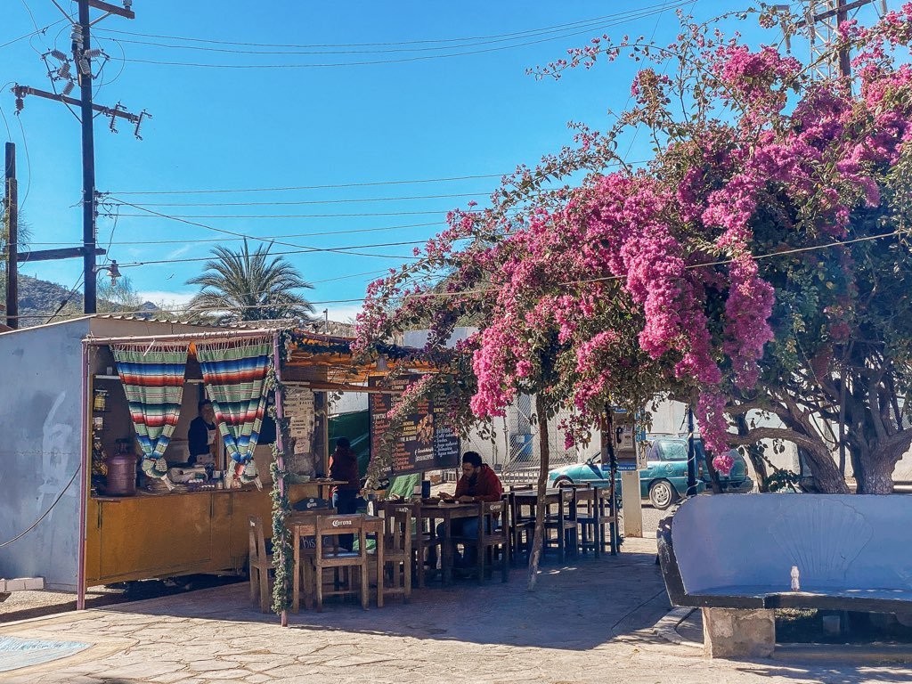 RVing in Mulegé, BCS Mexico.001.jpeg