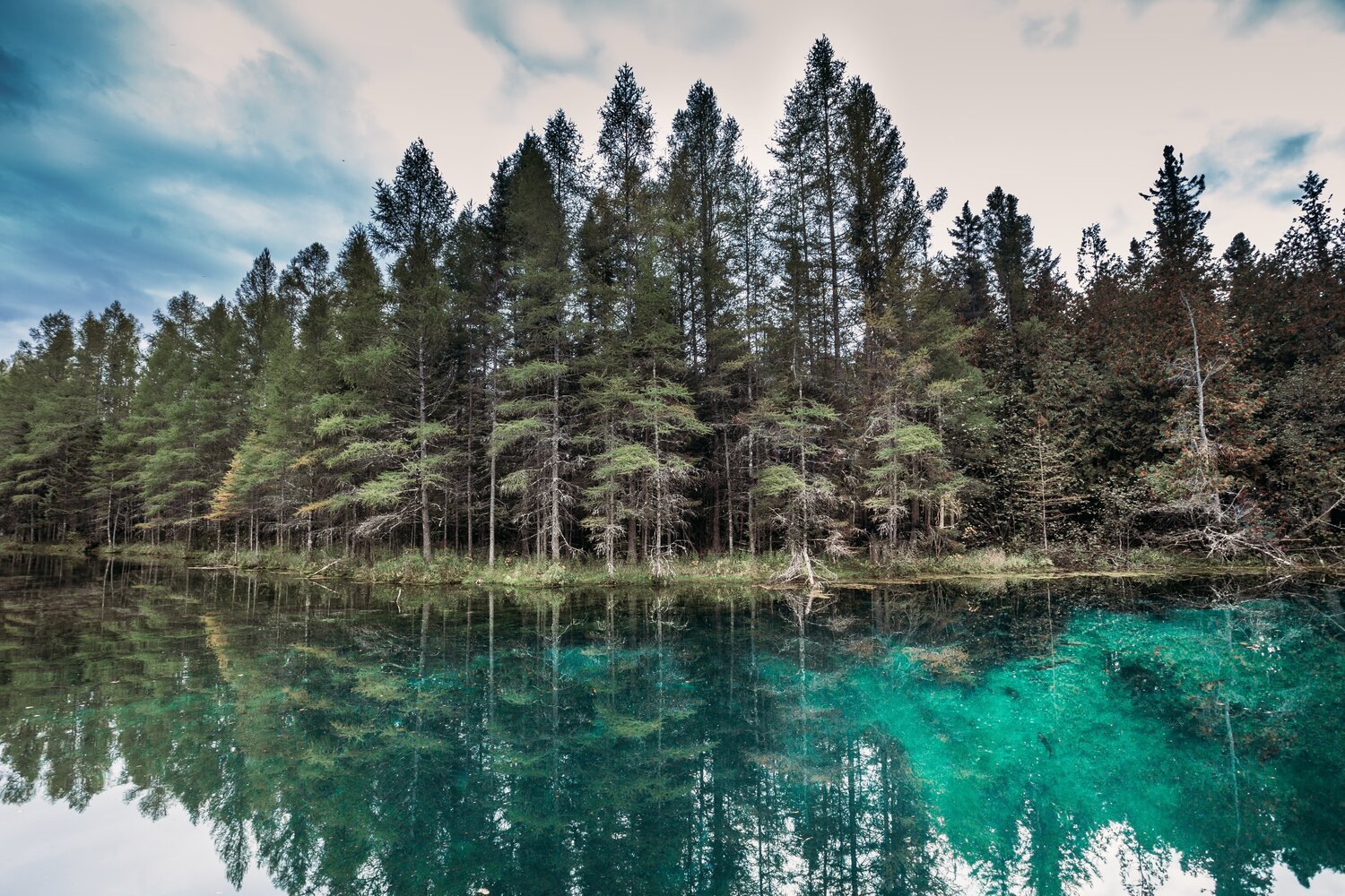 Kitch-iti-Kipi Springs