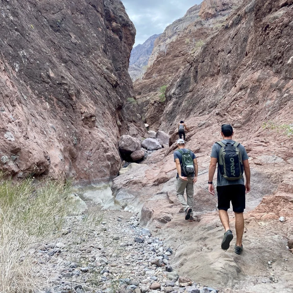 Best things to do in Baja California.007.jpeg