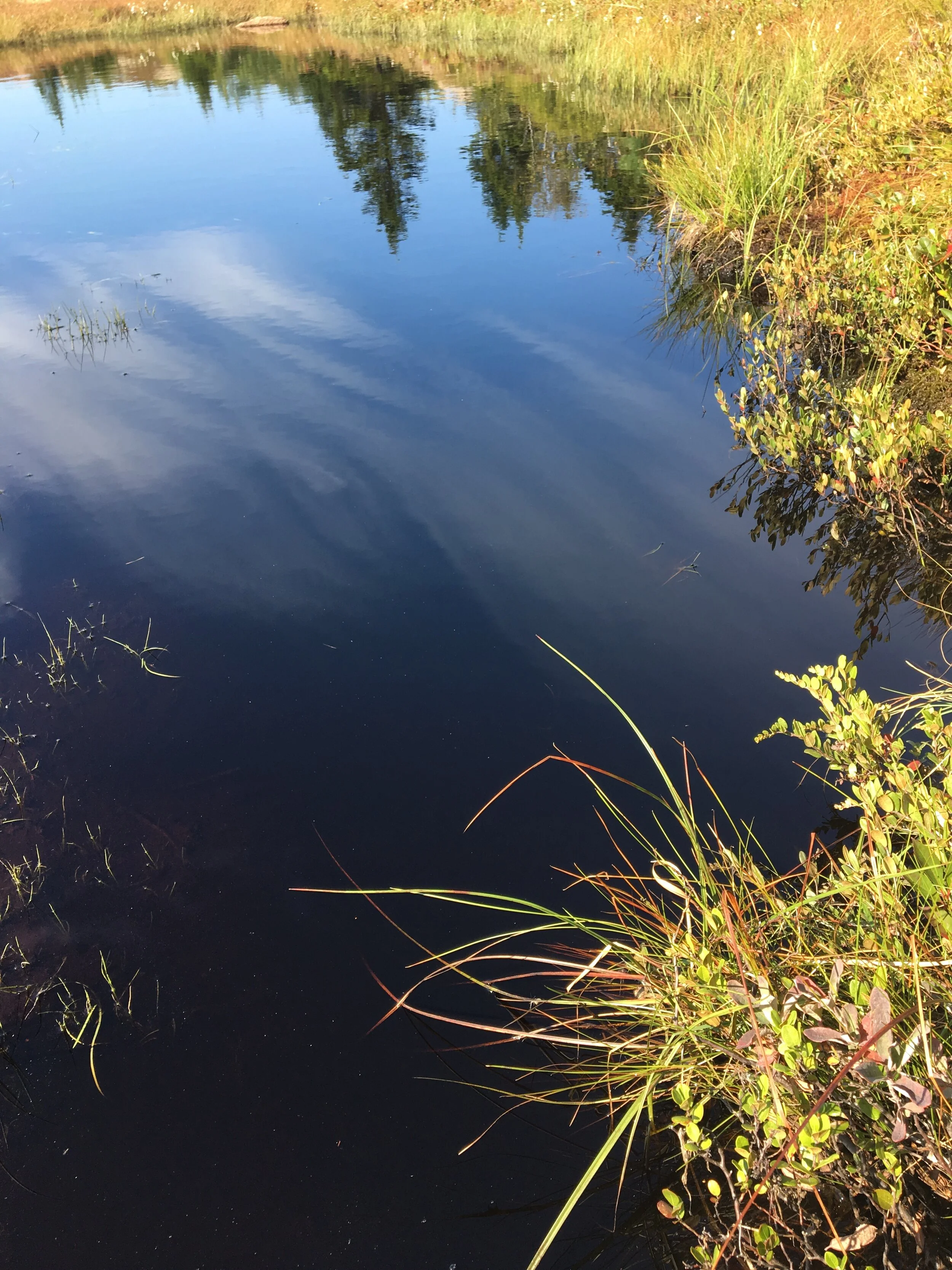 original lake.JPG
