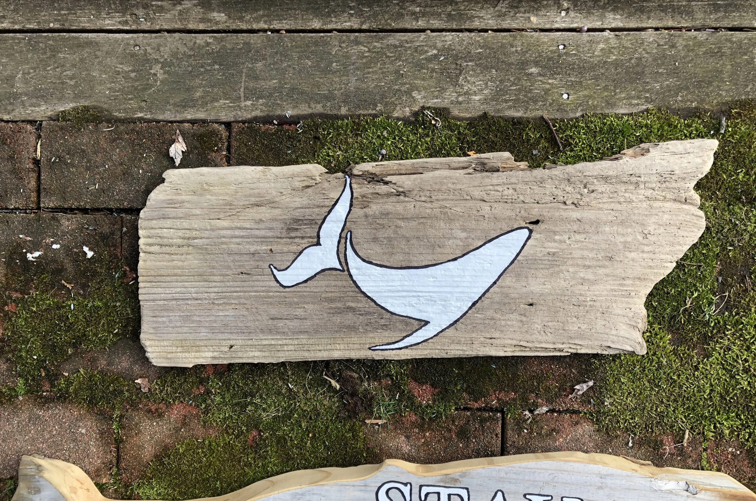 B4A924D3-4012-4620-8D78-BAF8FCC22837