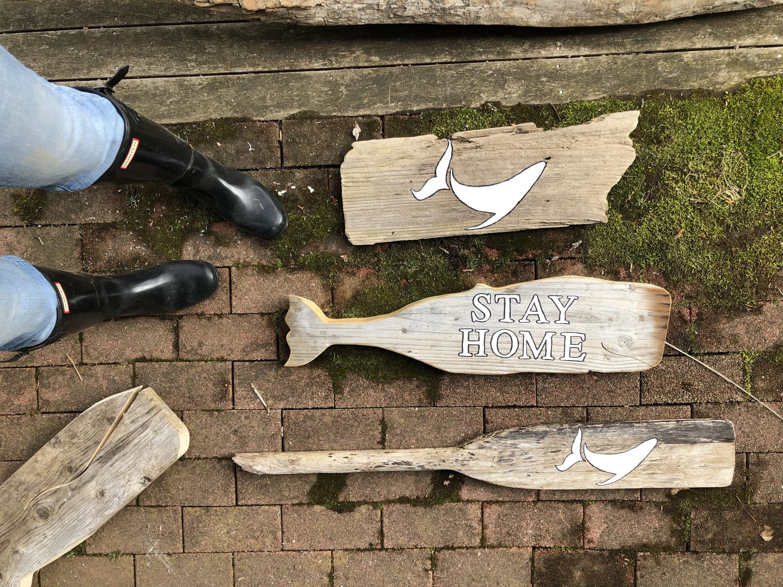 53686A38-03C1-4AD6-BFB1-BEE38238CA0E