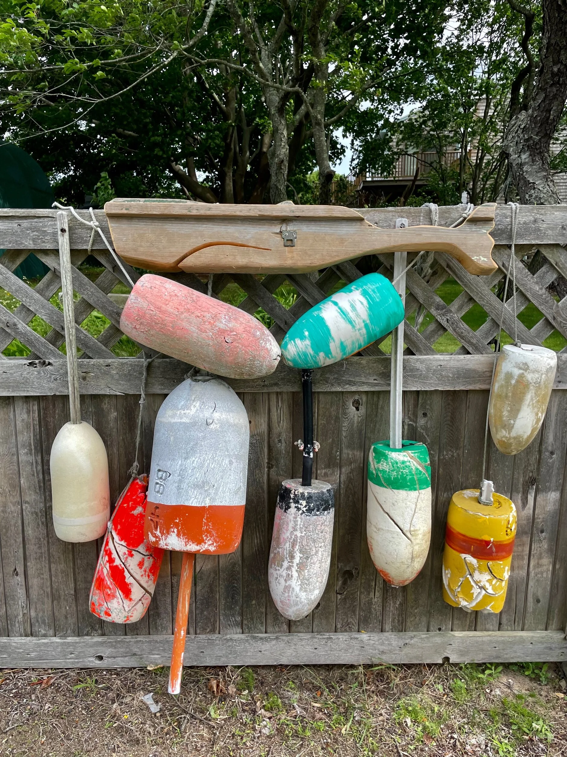 3FFB81DF-5640-4ABB-955E-D39288D0D867