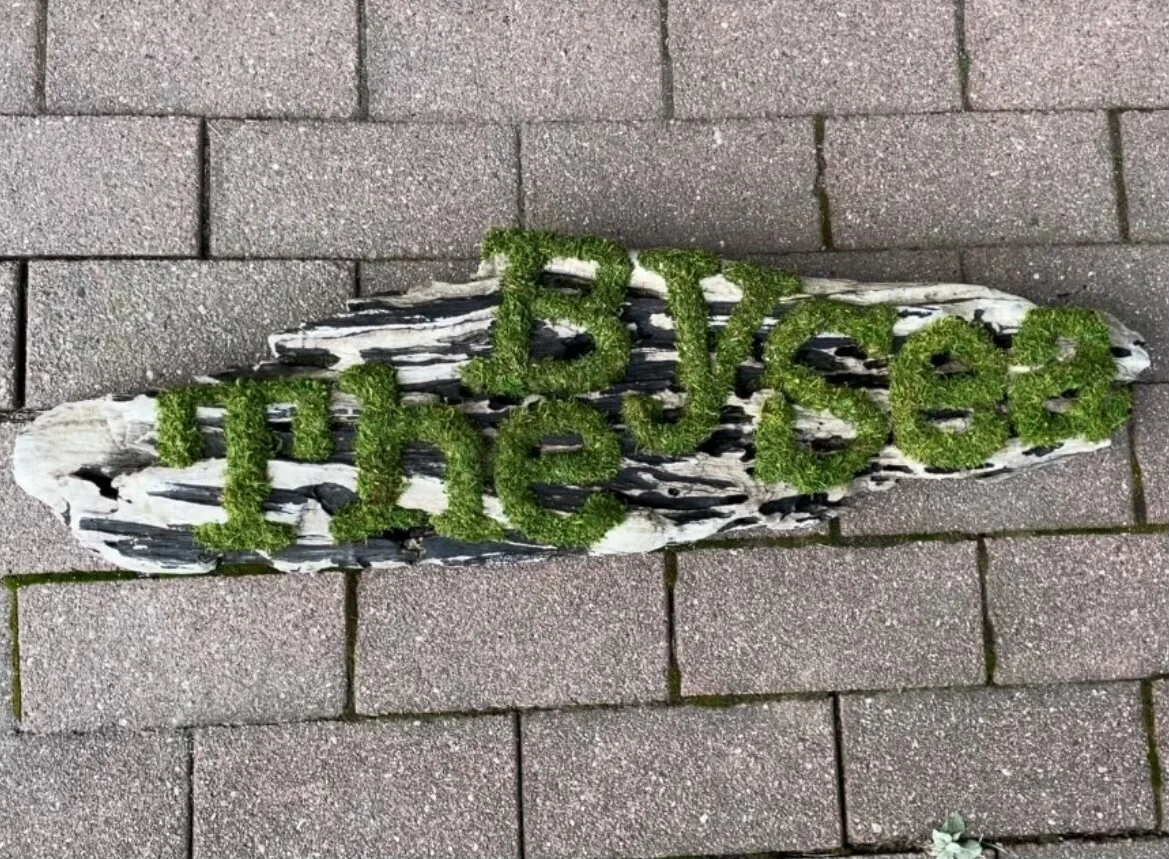 6AD51971-8D3E-46A9-93E5-50D9AE2084C4