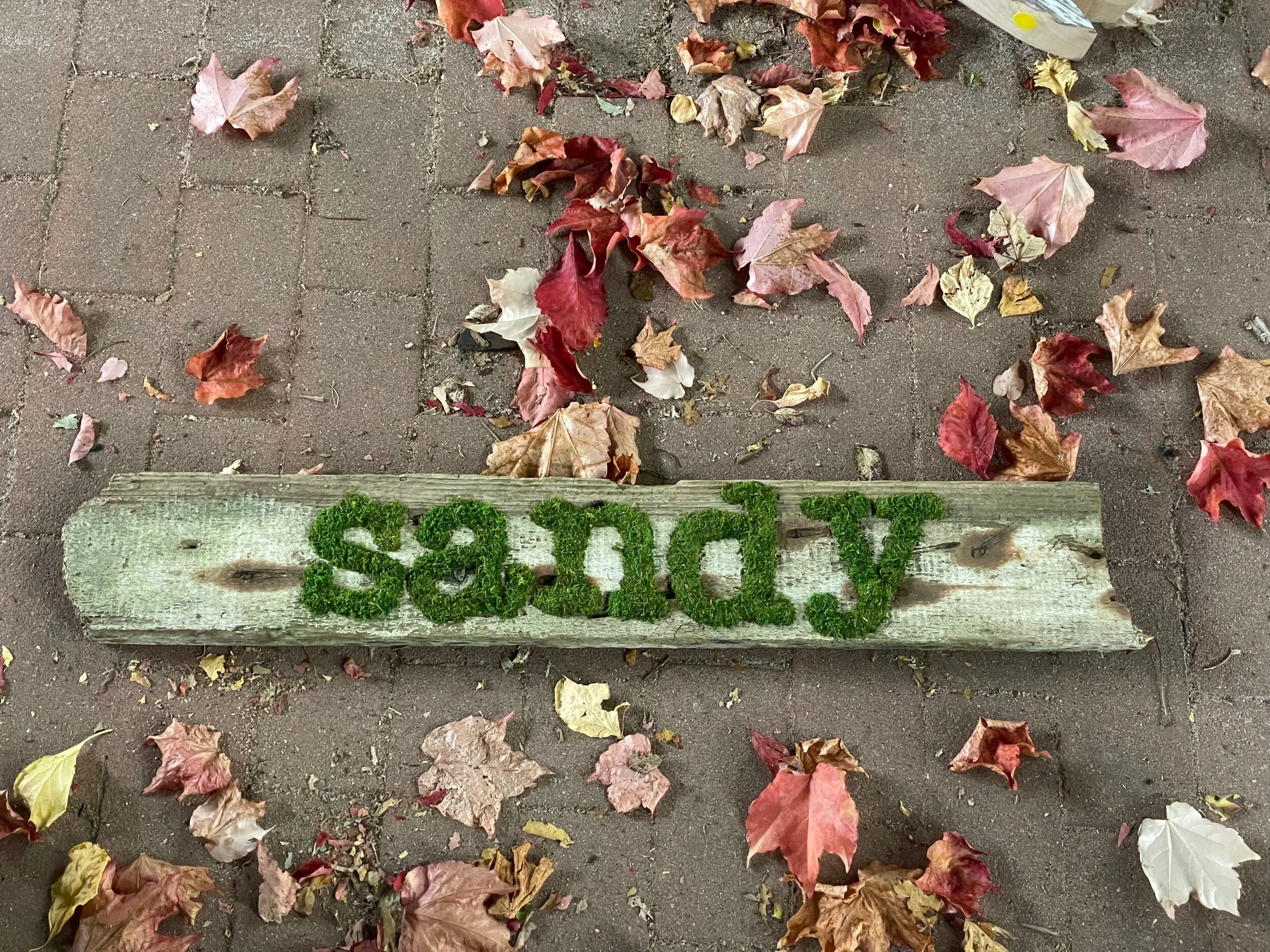 6077C1F6-FE98-420D-9796-714930BD7EA9