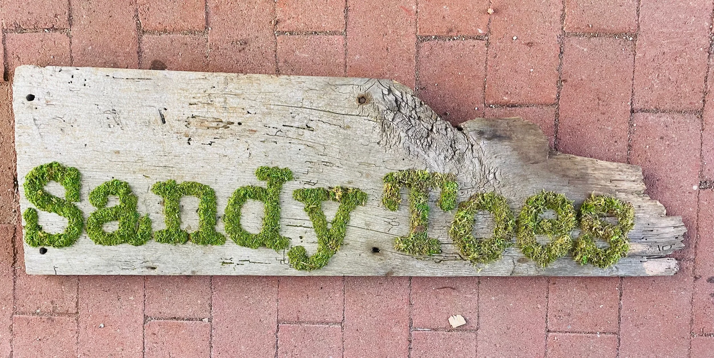 6585B0C9-E046-47F9-B7CE-59ACB546A531