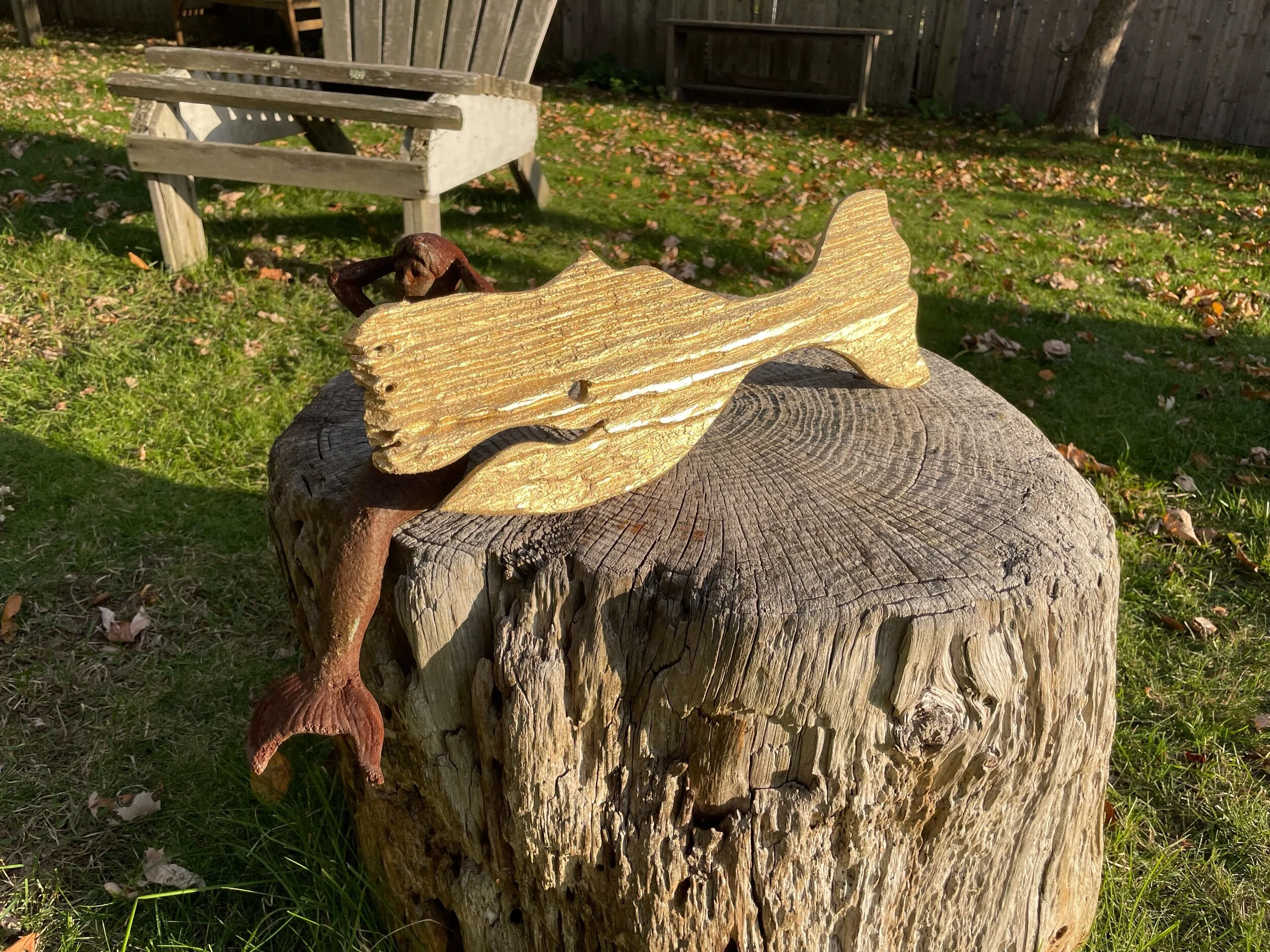 E386AEE8-3BBA-4EAA-9865-2AC549B3235F