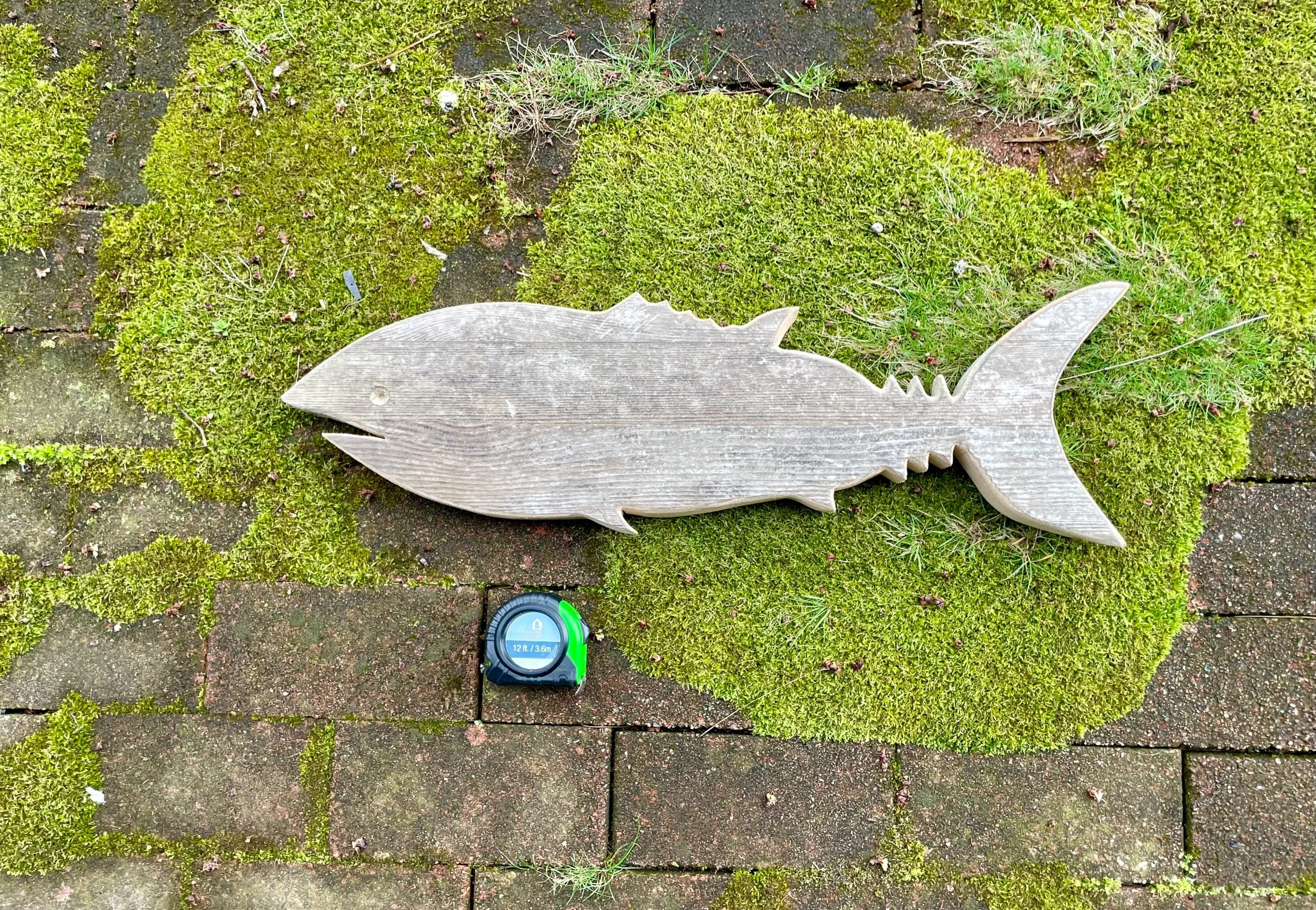 4A039161-401C-4EF6-AB69-578837A90045