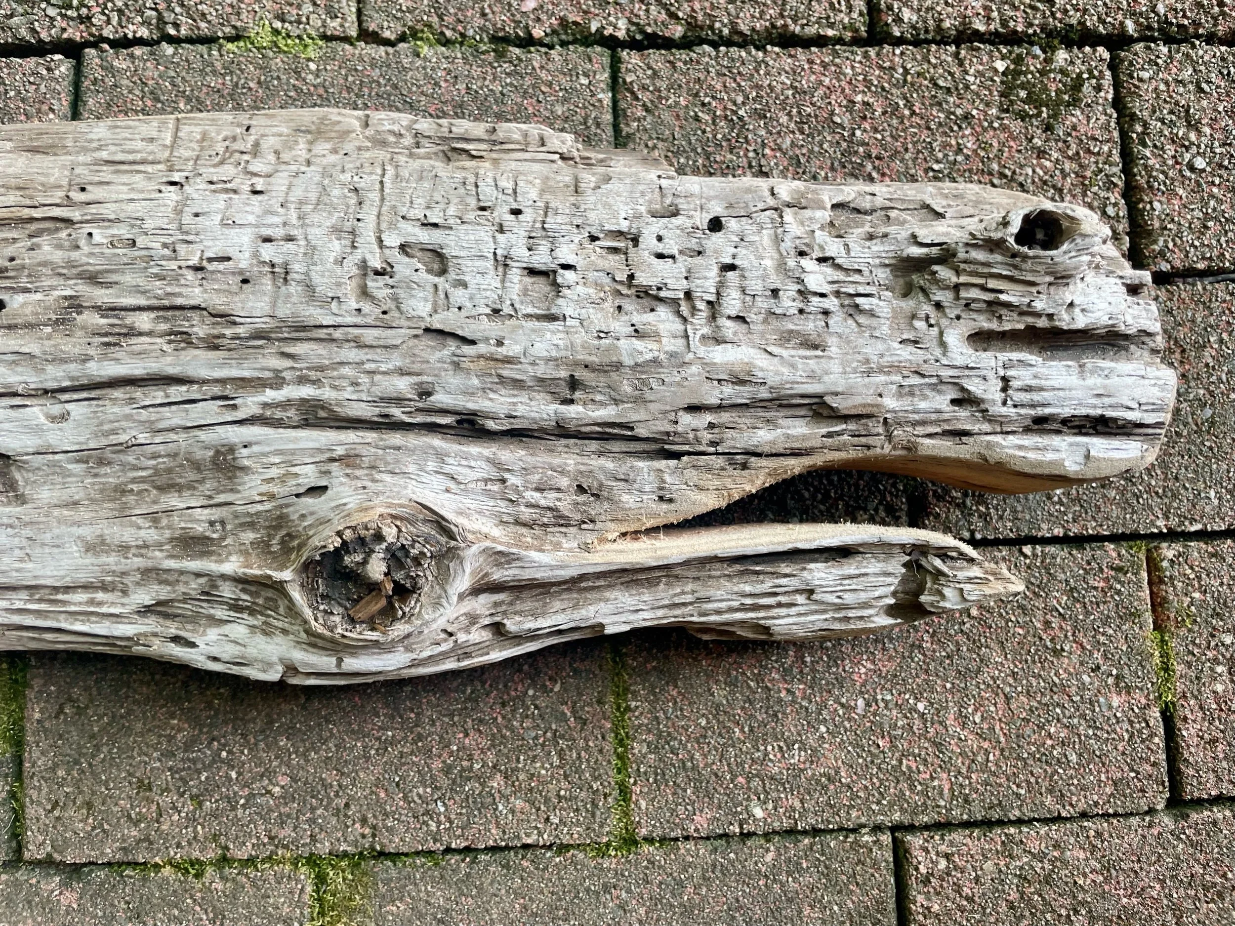 B123133A-E6E4-4D96-9EDE-C2288F594483