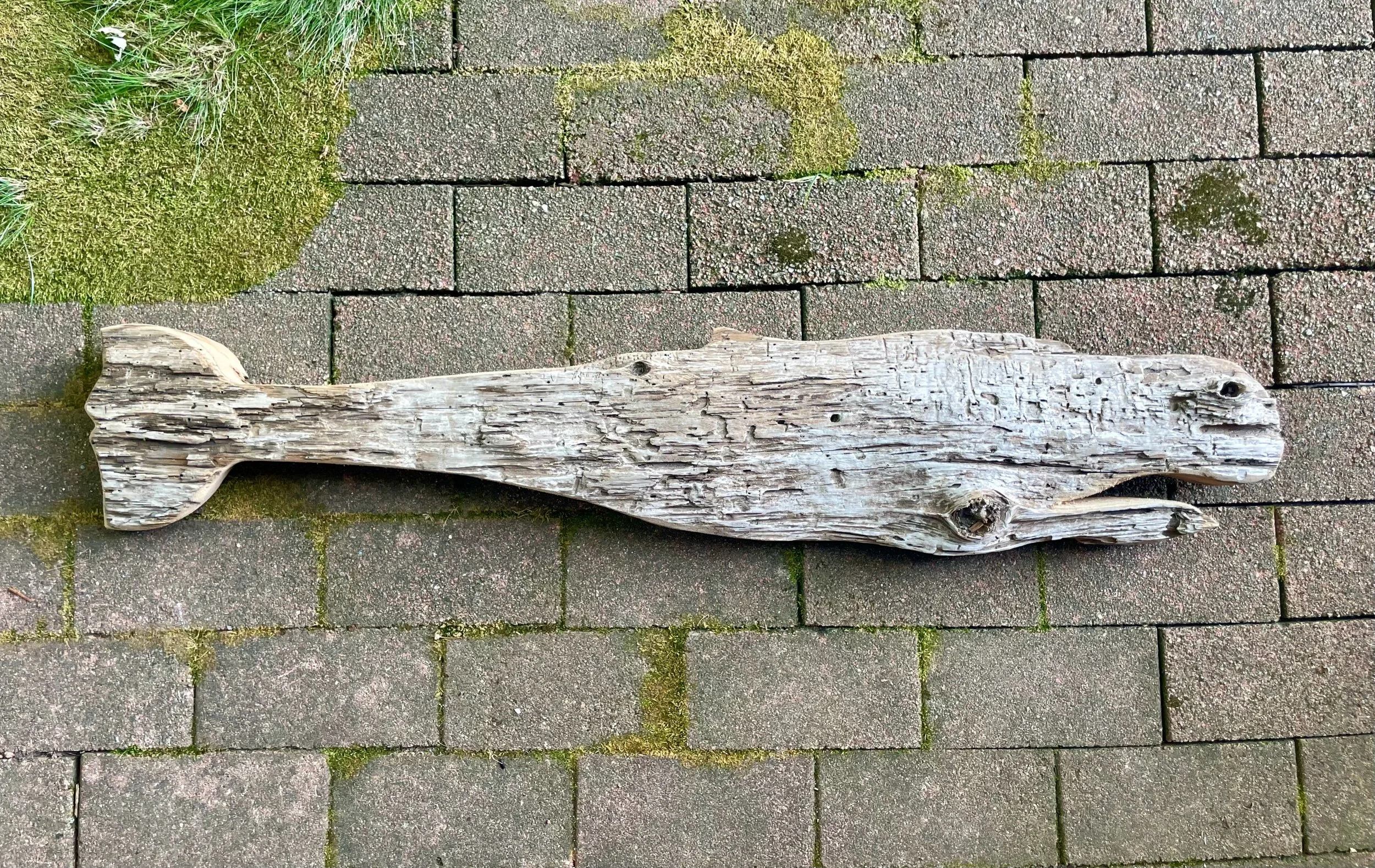 CCB5E349-FBDC-4815-A775-AA9714A651F7