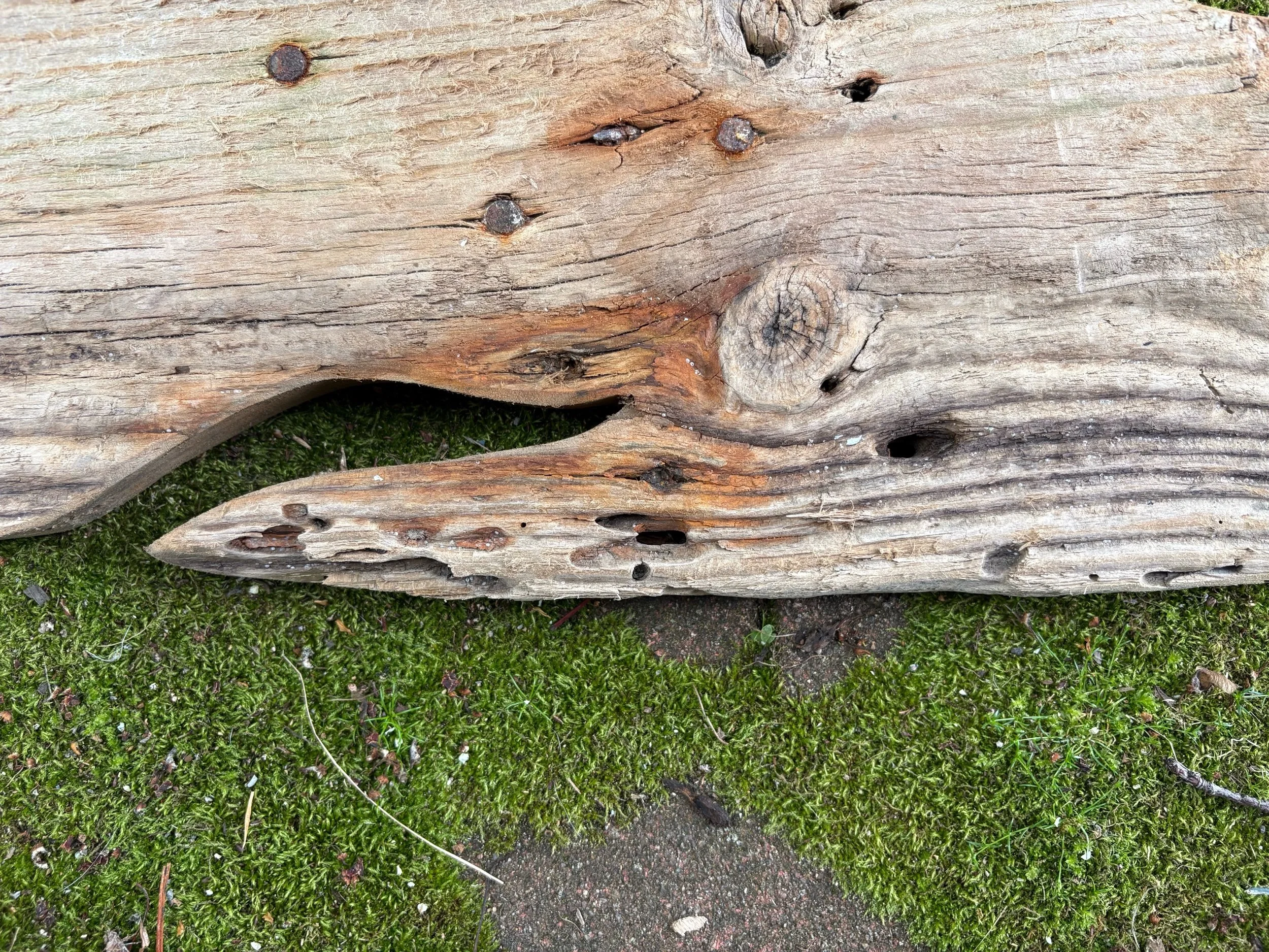 8A05248B-685D-44C5-AECA-F387A985D562.jpeg