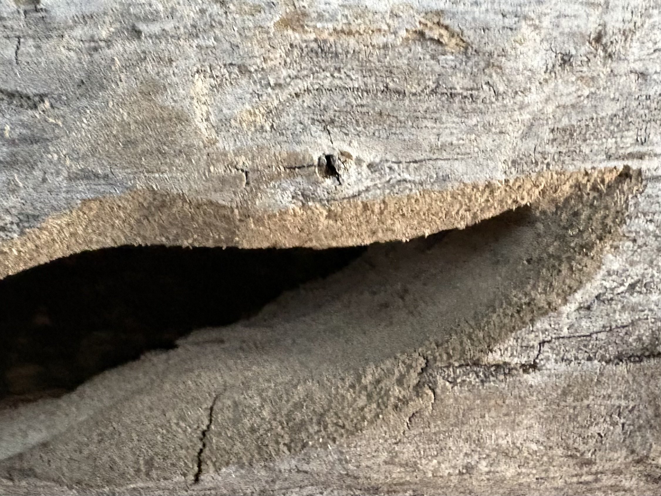 IMG_8002.jpeg