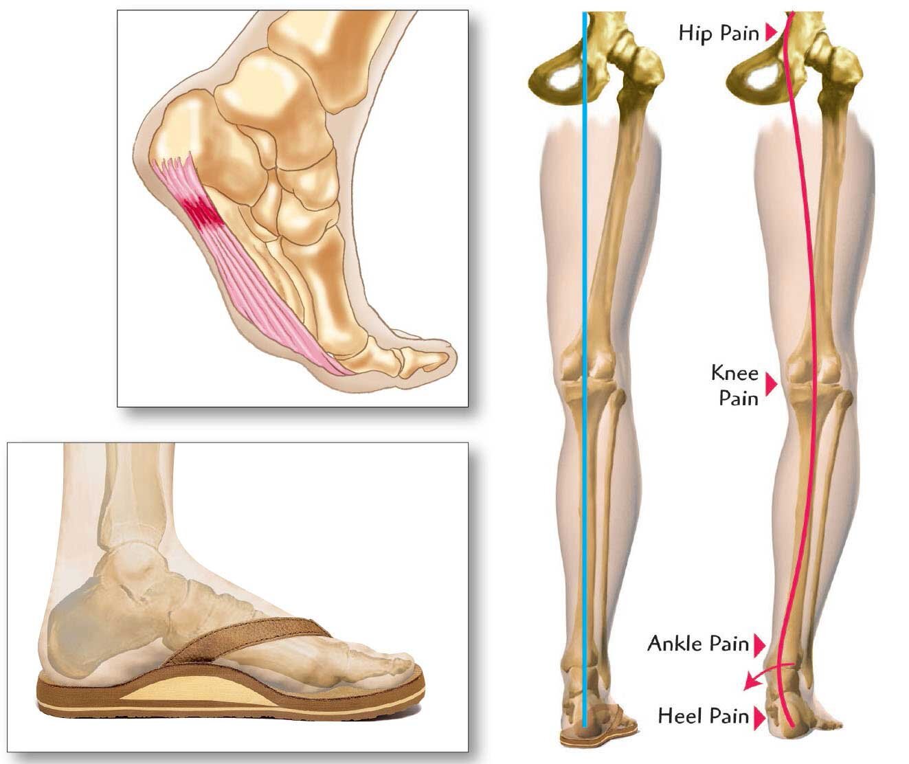 BBSW_OrthopedicA032719.jpg