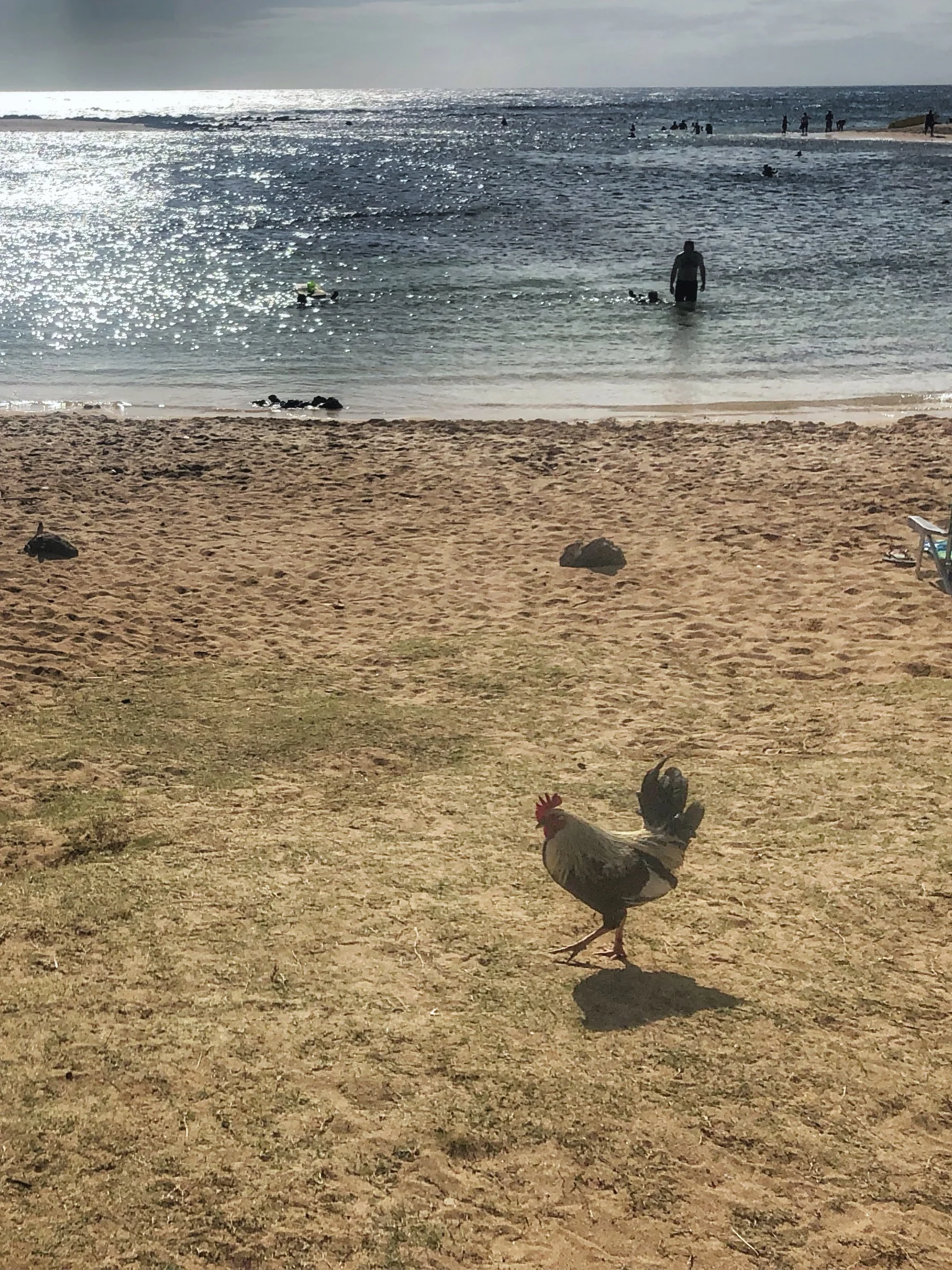 Poipu Beach Park