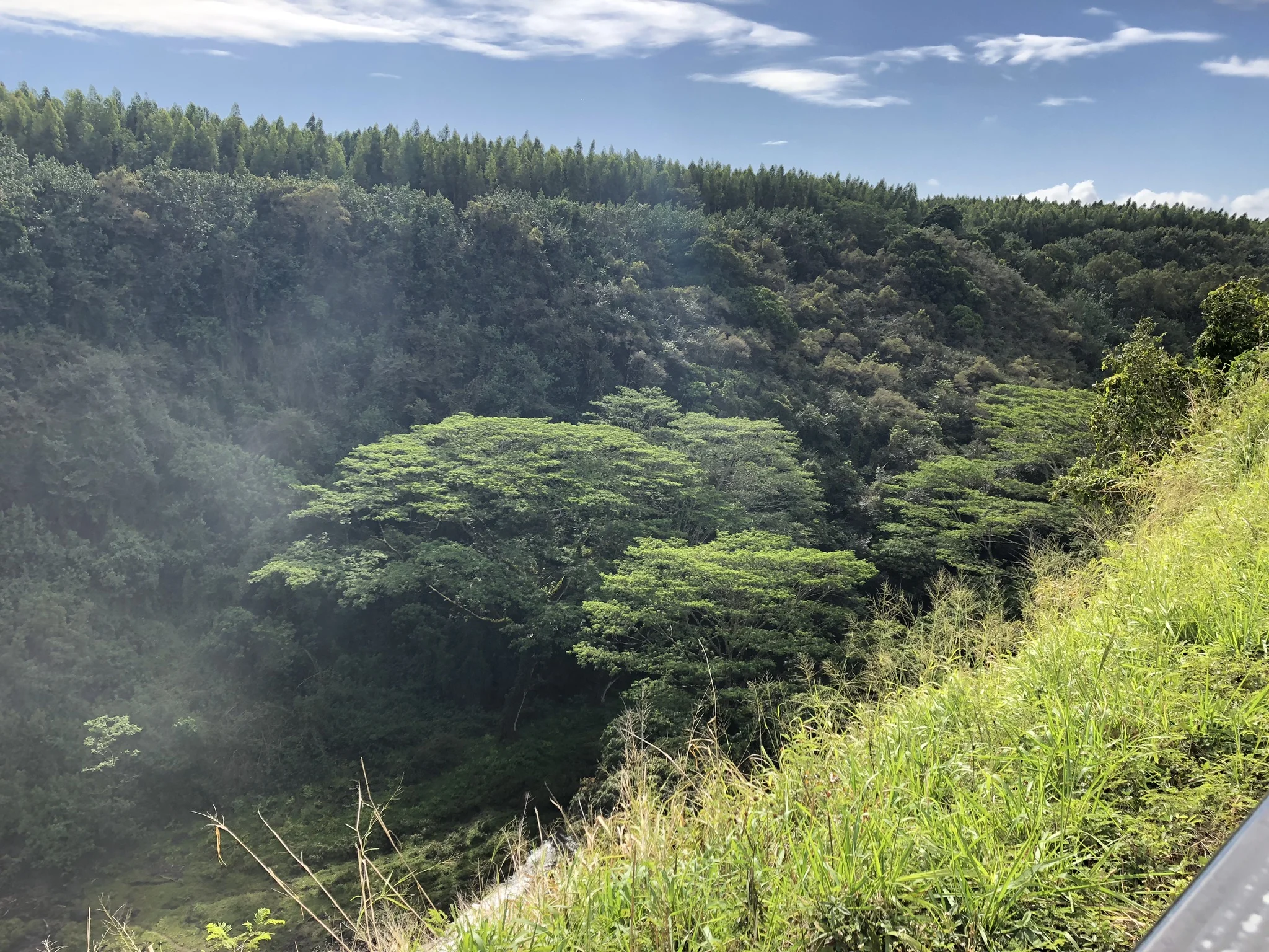 Waimea Canyon State Park