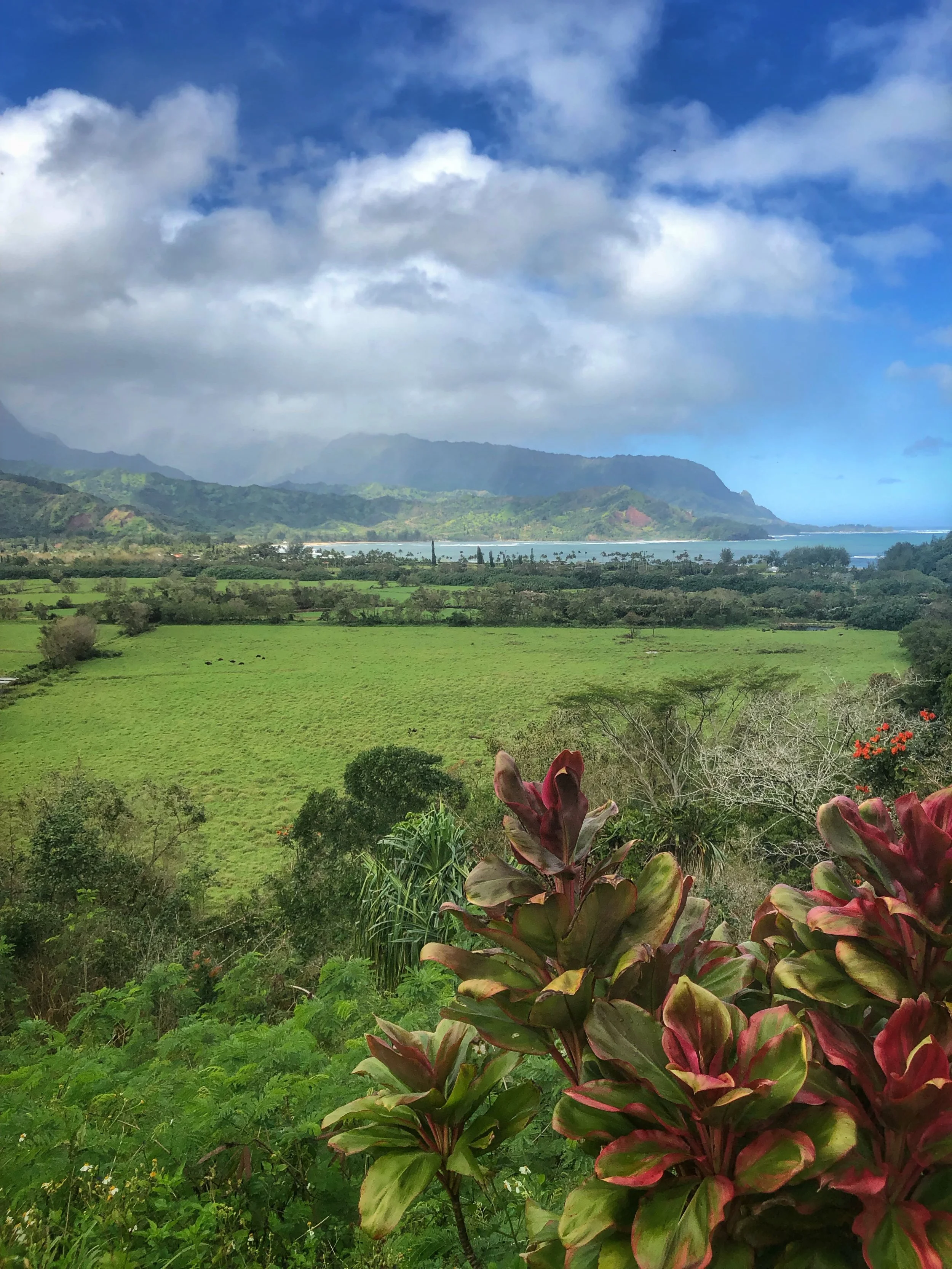 Hanalei Bay