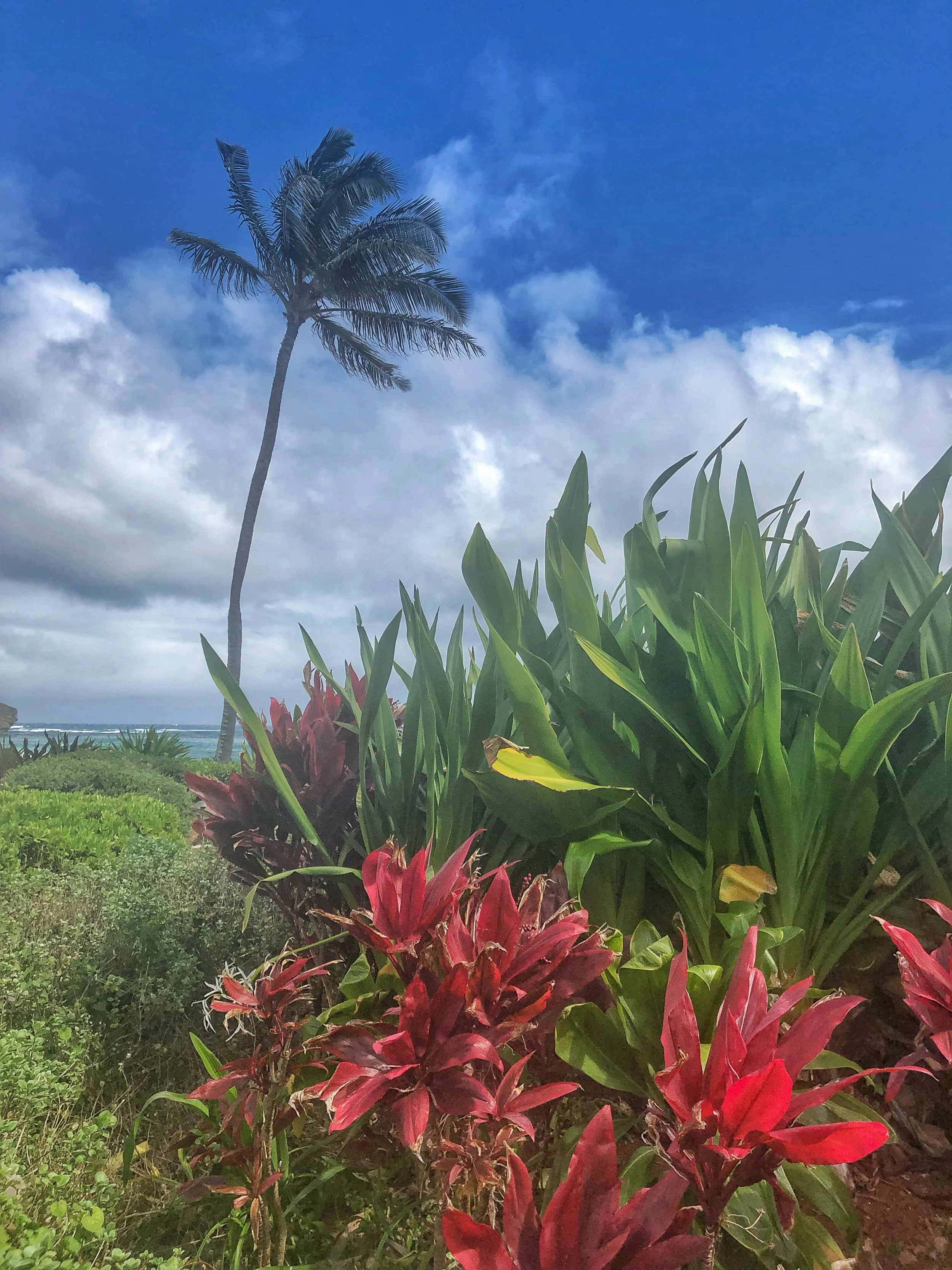 Maha'ulepu Heritage Trail