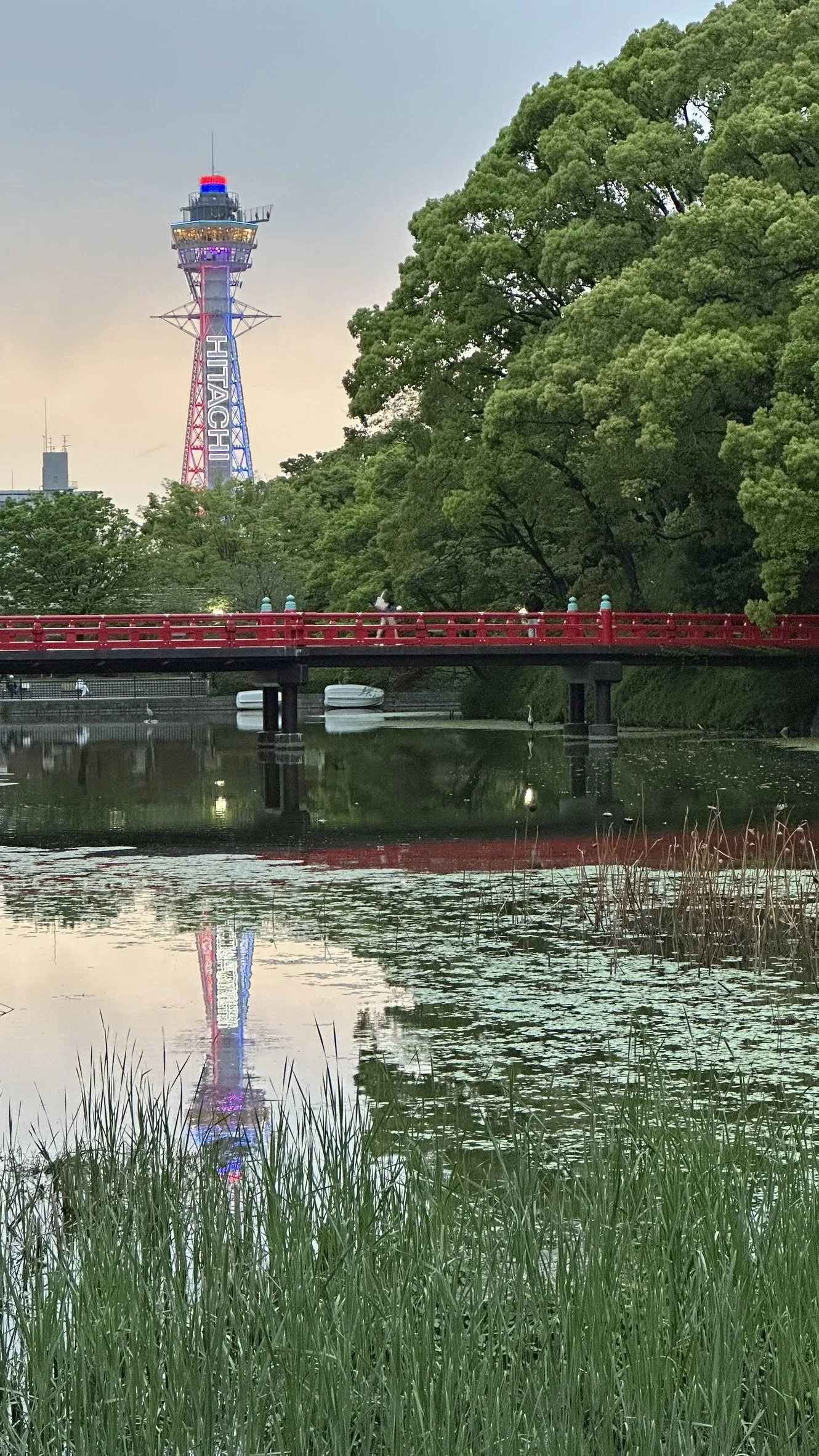 Tennoji Park (Tsutenkaku)