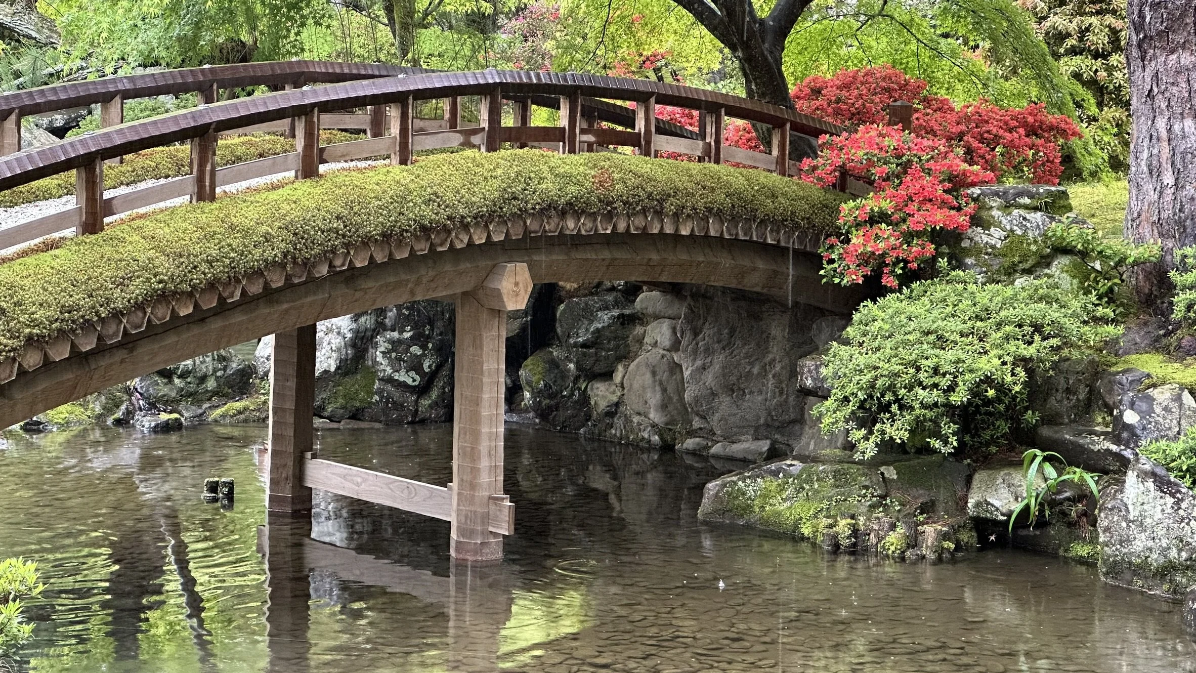 Oikeniwa (Kyoto Imperial Palace)