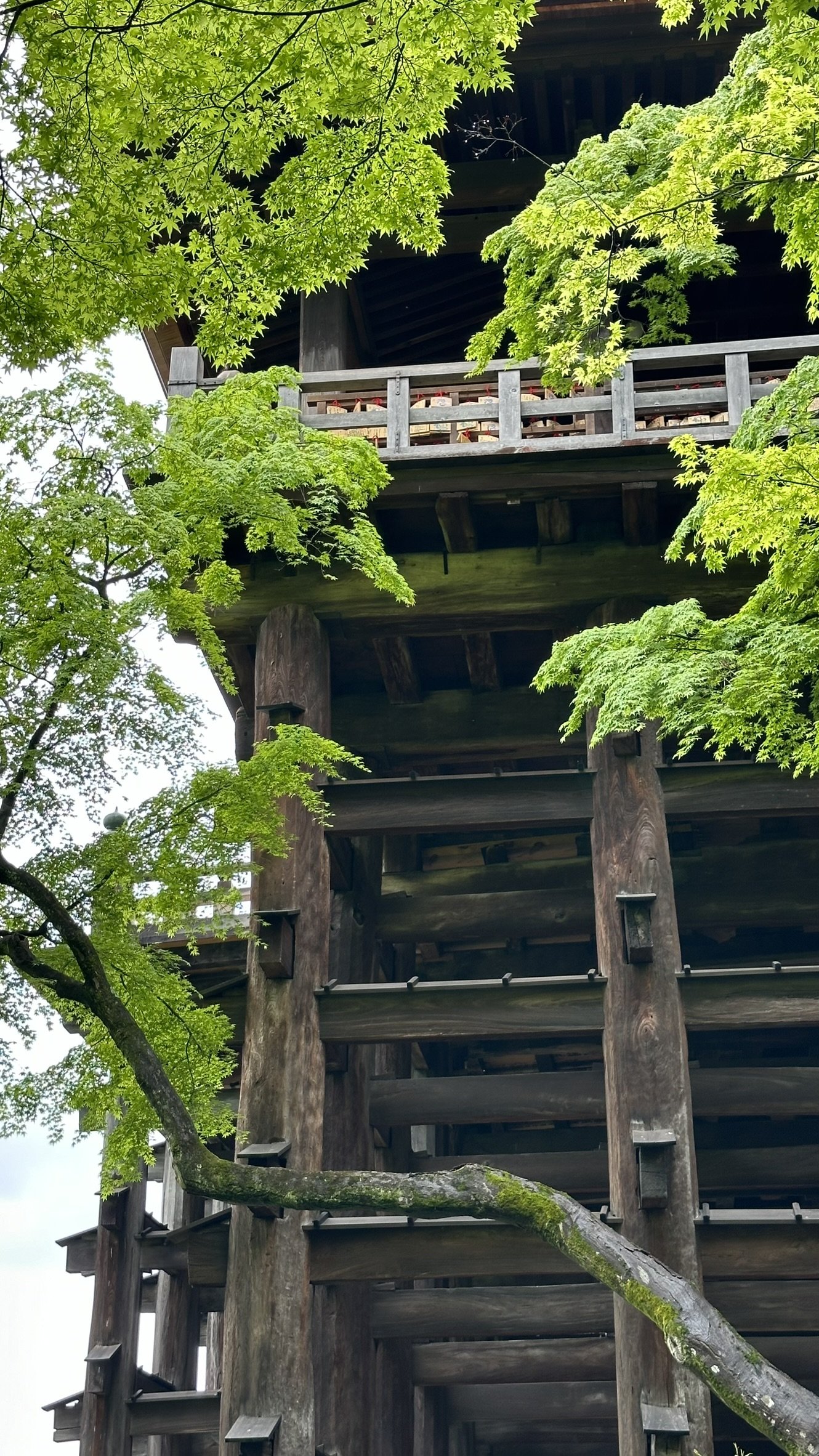 Kiyomizu-dera