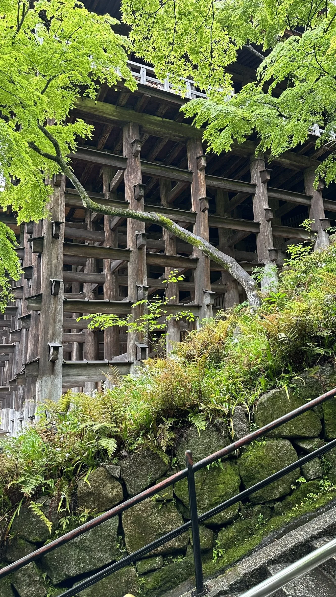 Kiyomizu-dera