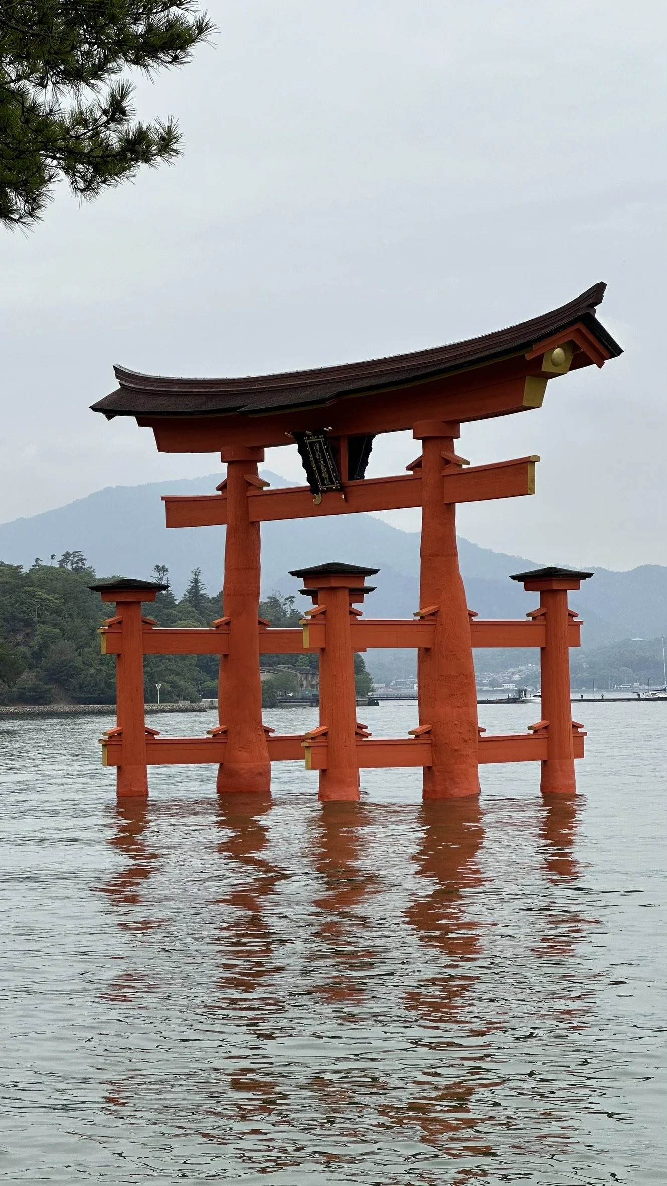 Itsukushima Shrine Torii