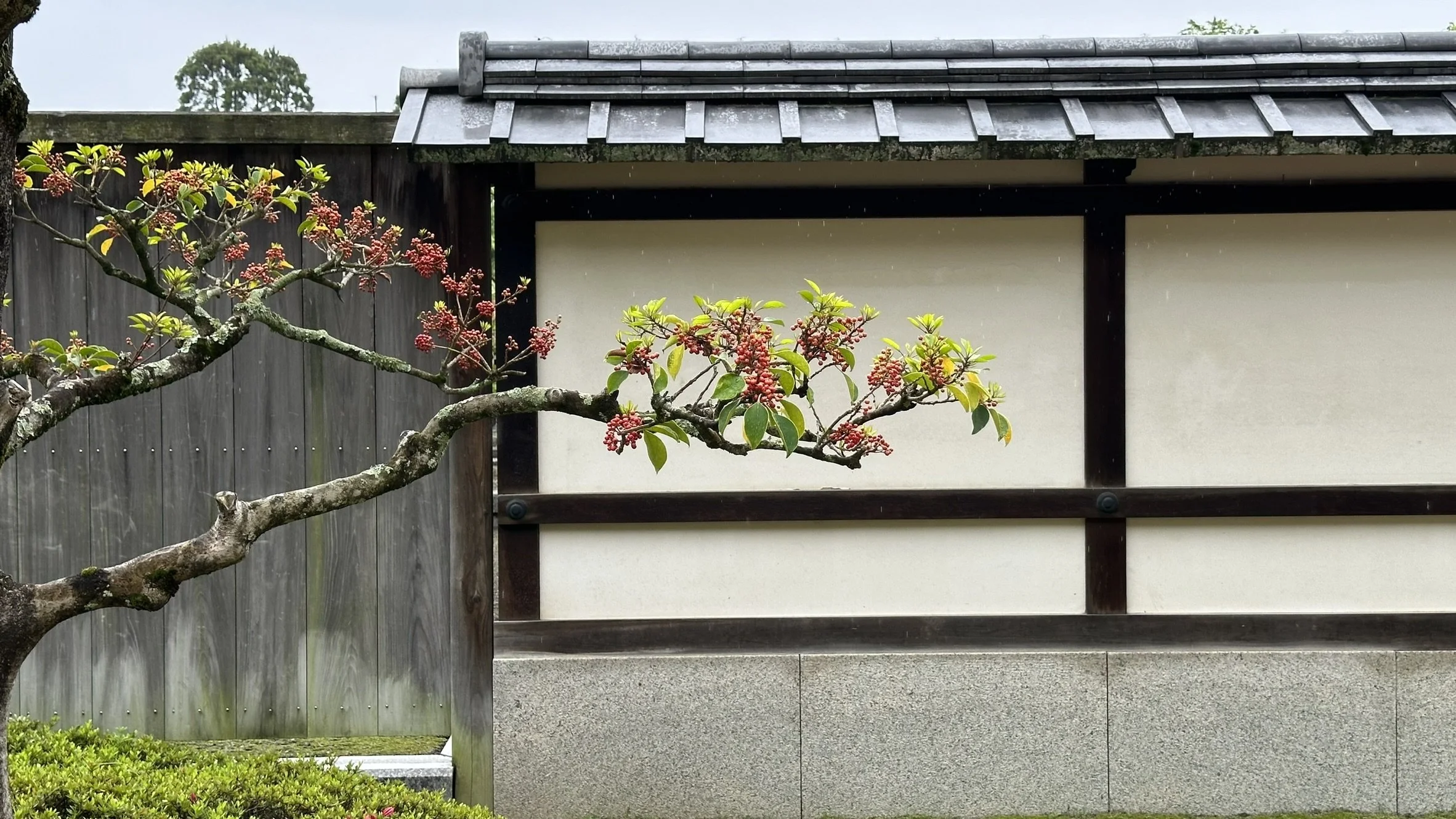 Matsuyama Castle Ninomaru Historical Site Garden