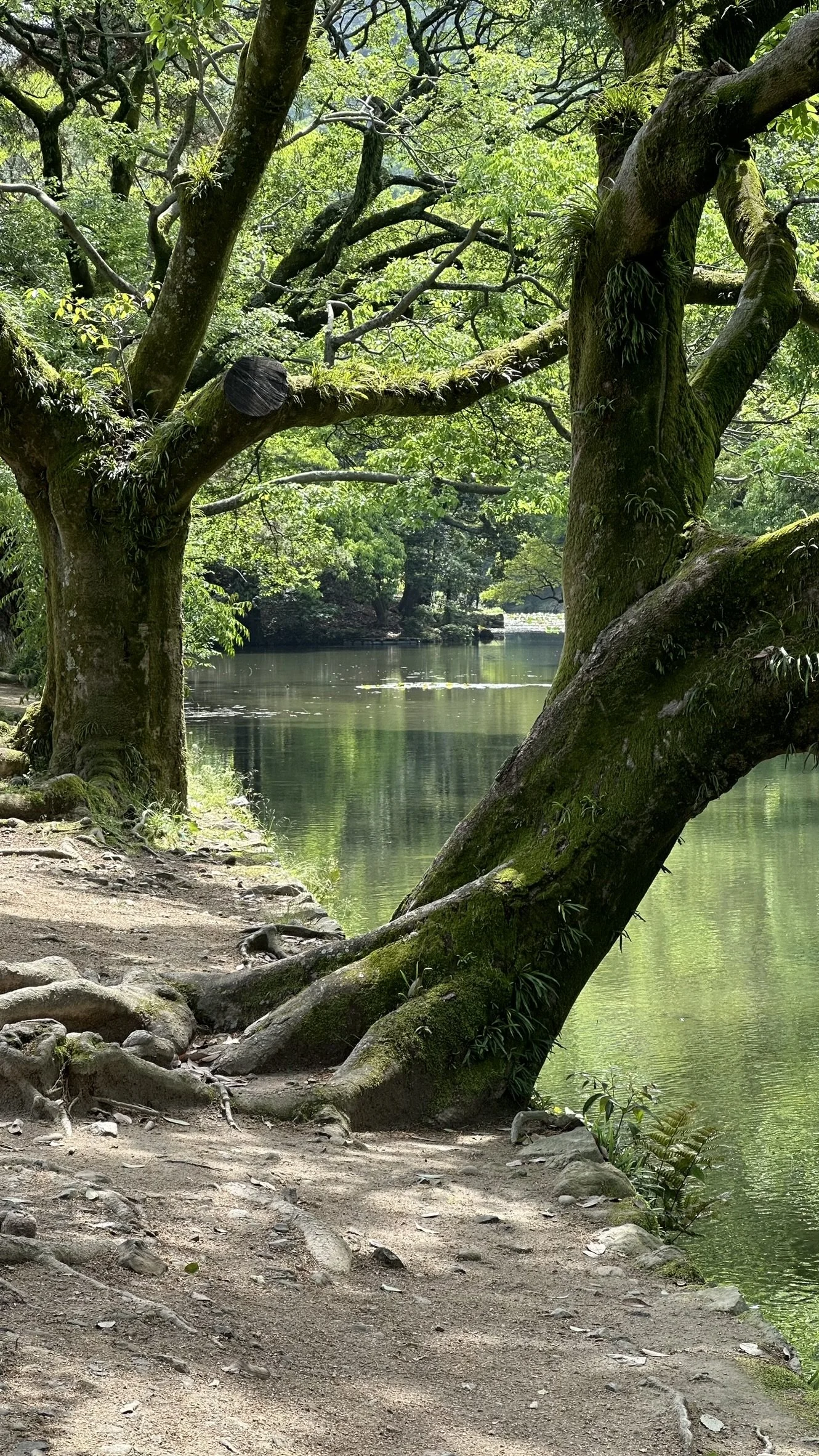 Ritsurin Garden (Takamatsu)